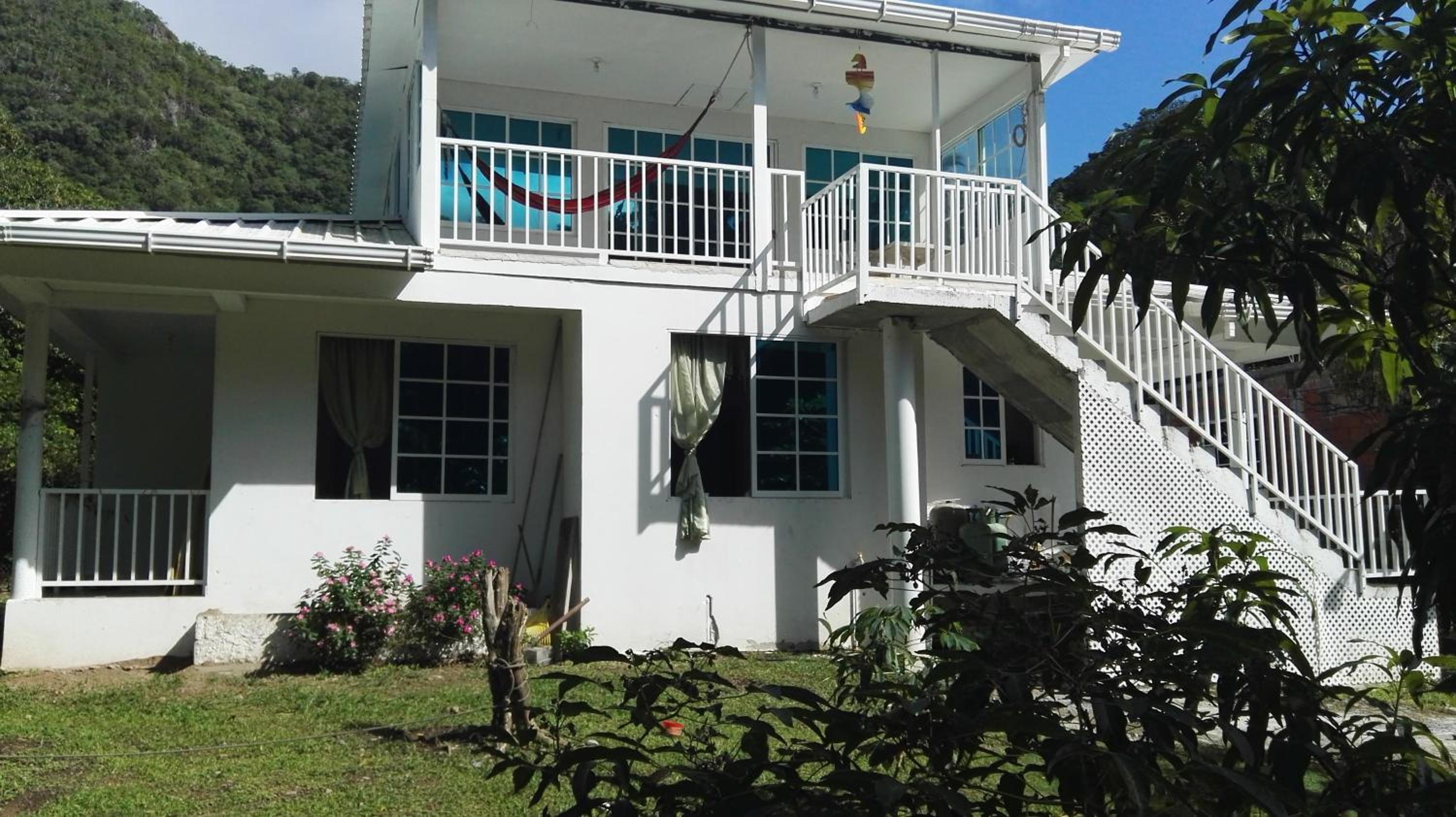 Posada Mango Tree view 5