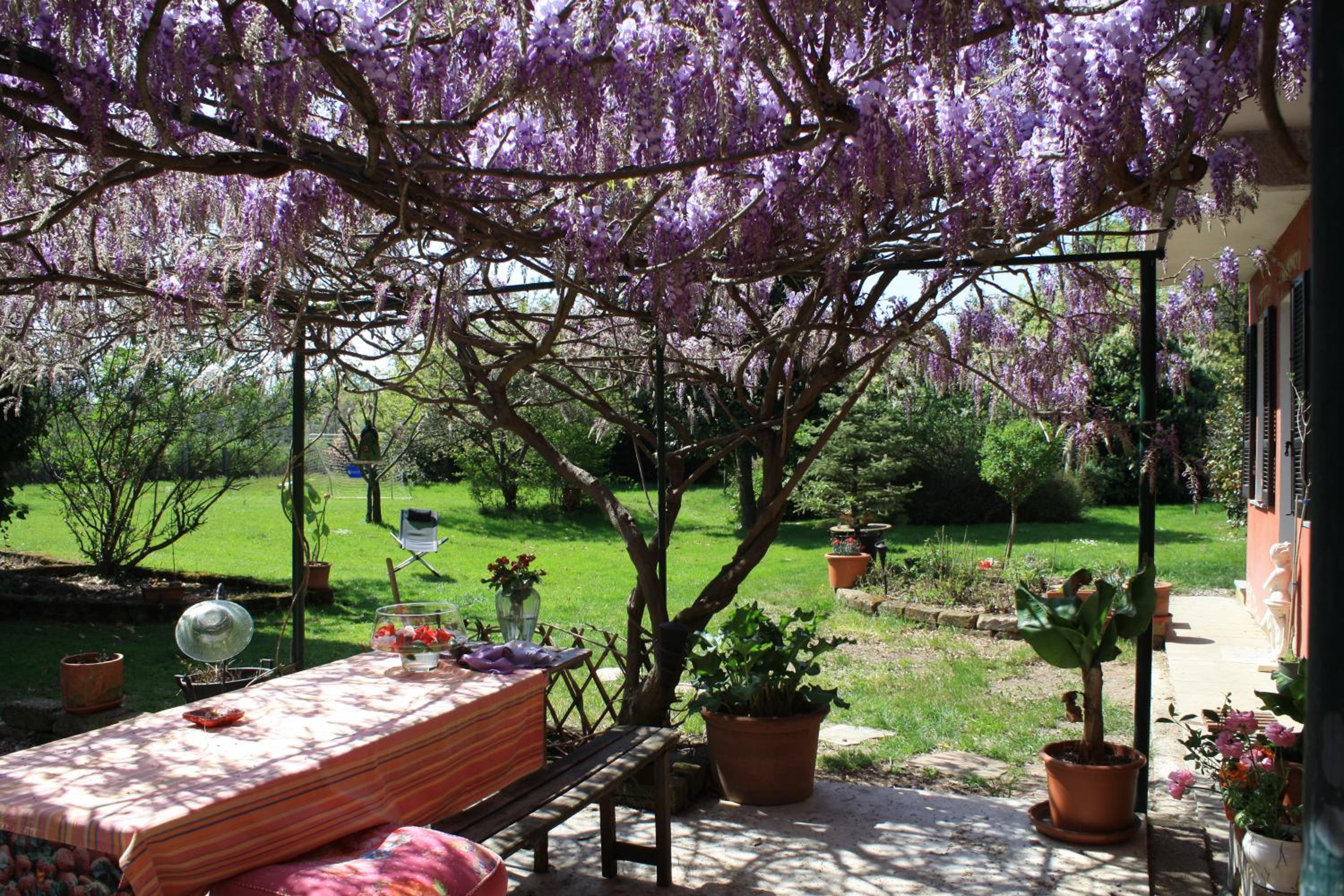 Otium B&B view 2