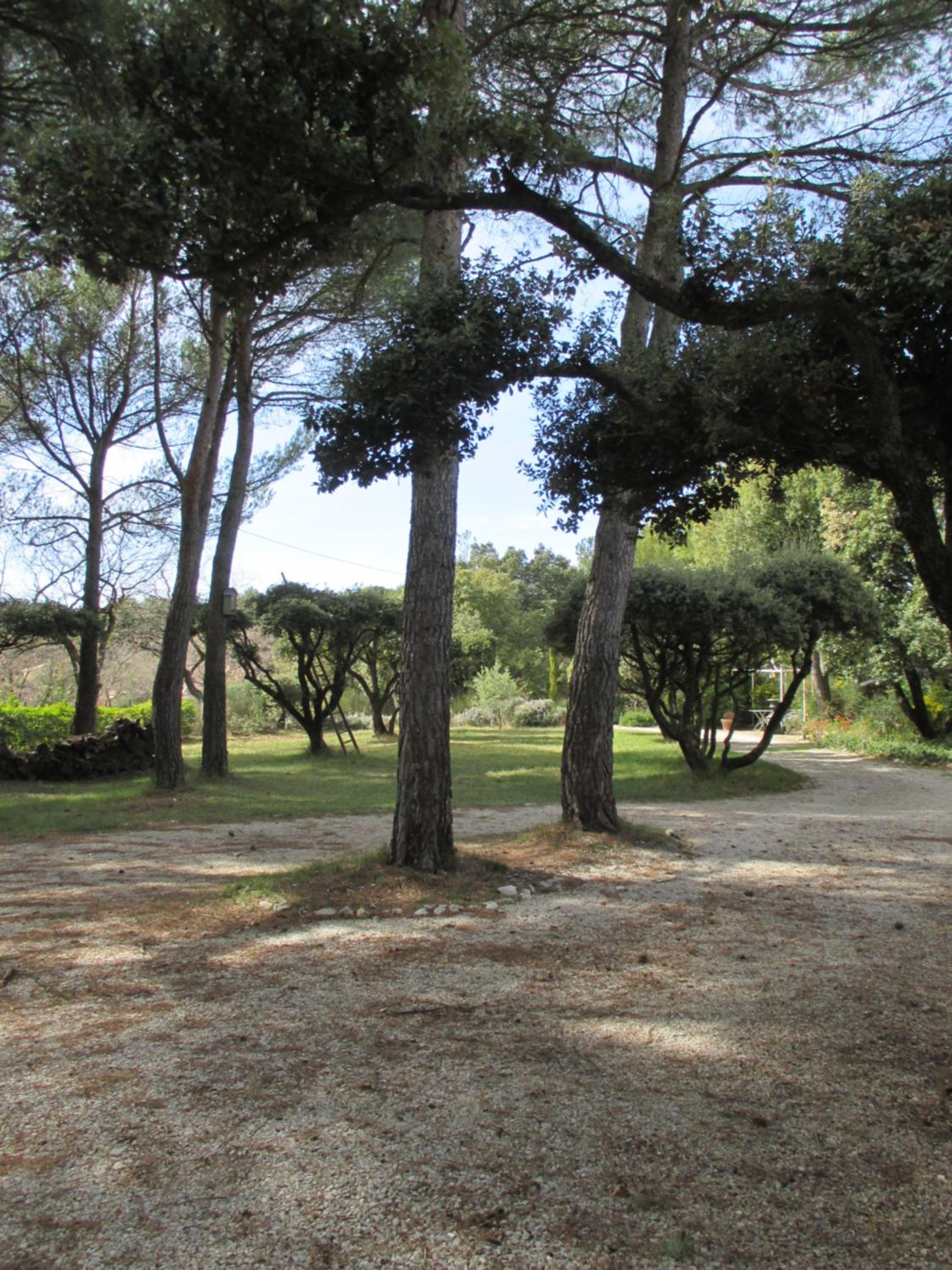L'Hymette view 3