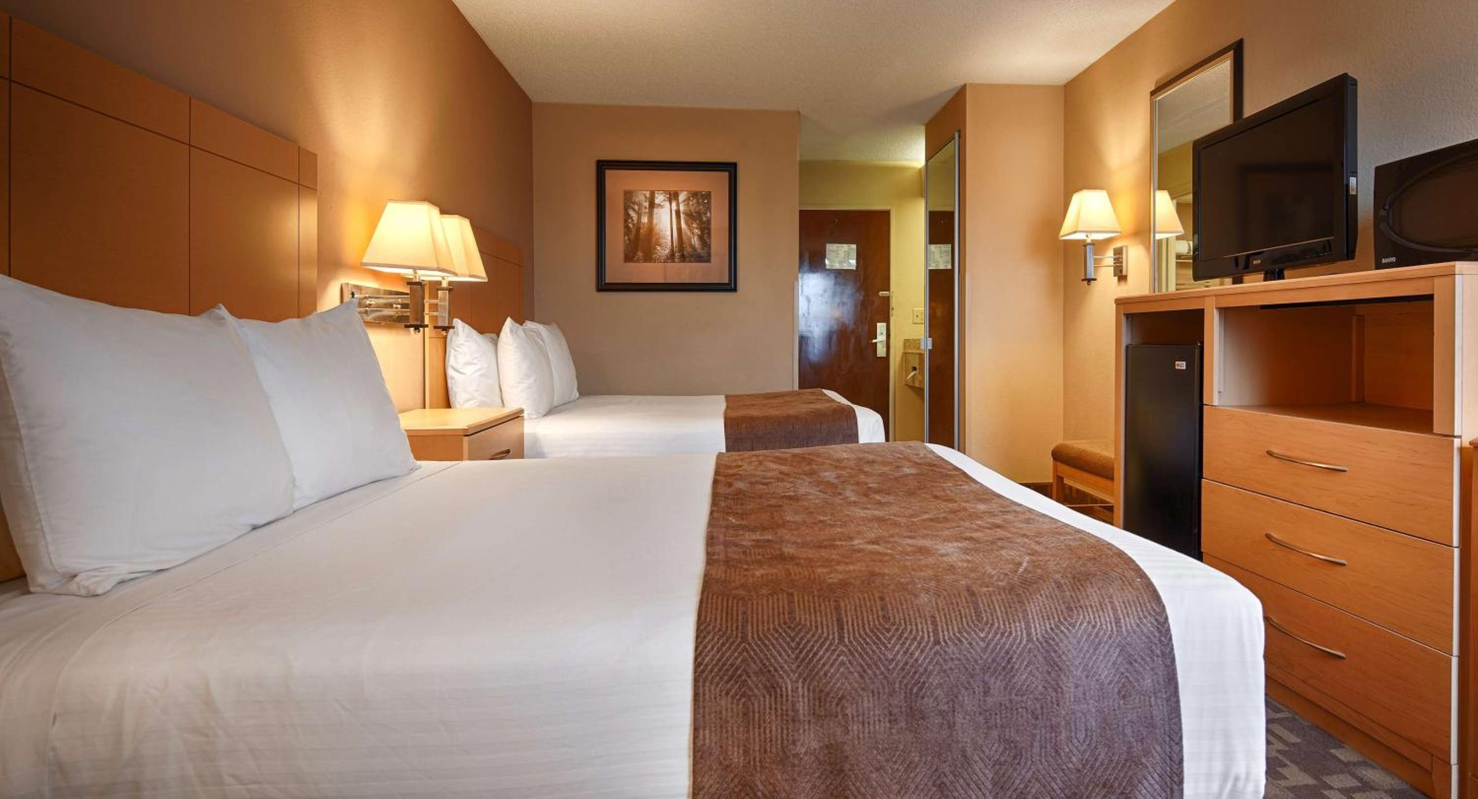 Roanoke Rapids Vacations - SureStay Plus Hotel by Best Western Roanoke Rapids I-95 - Property Image 11