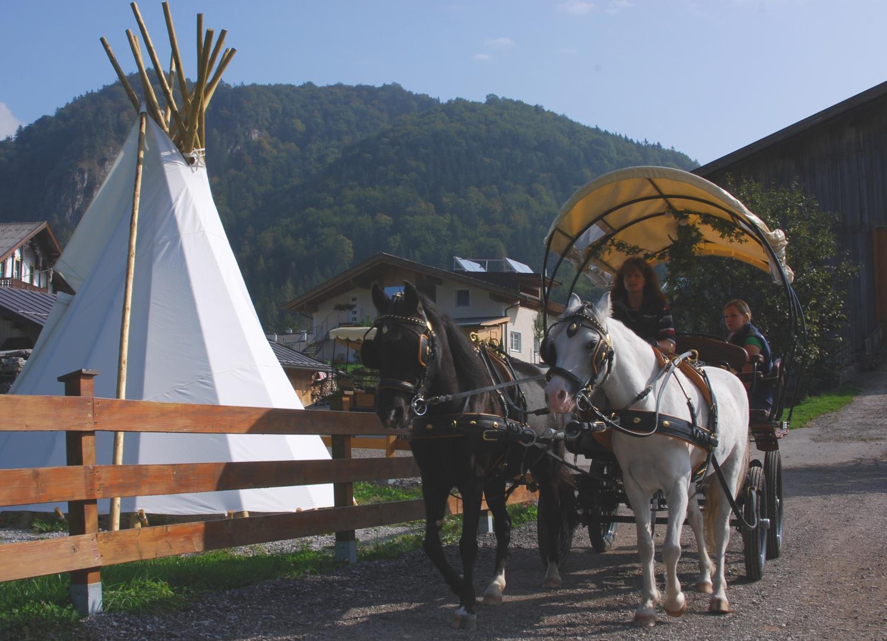 Reitanlage Dagnhof