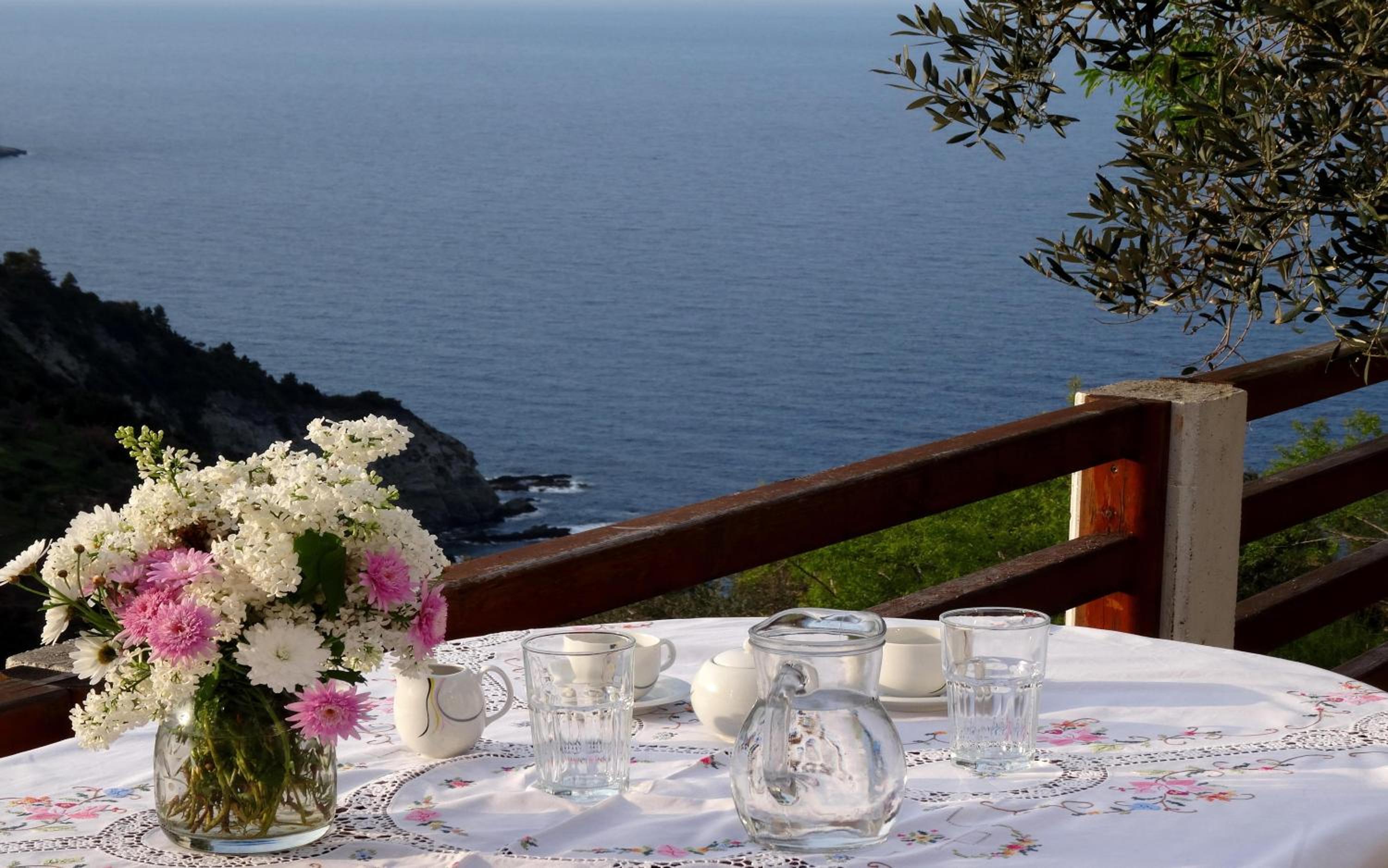 Villa Rose