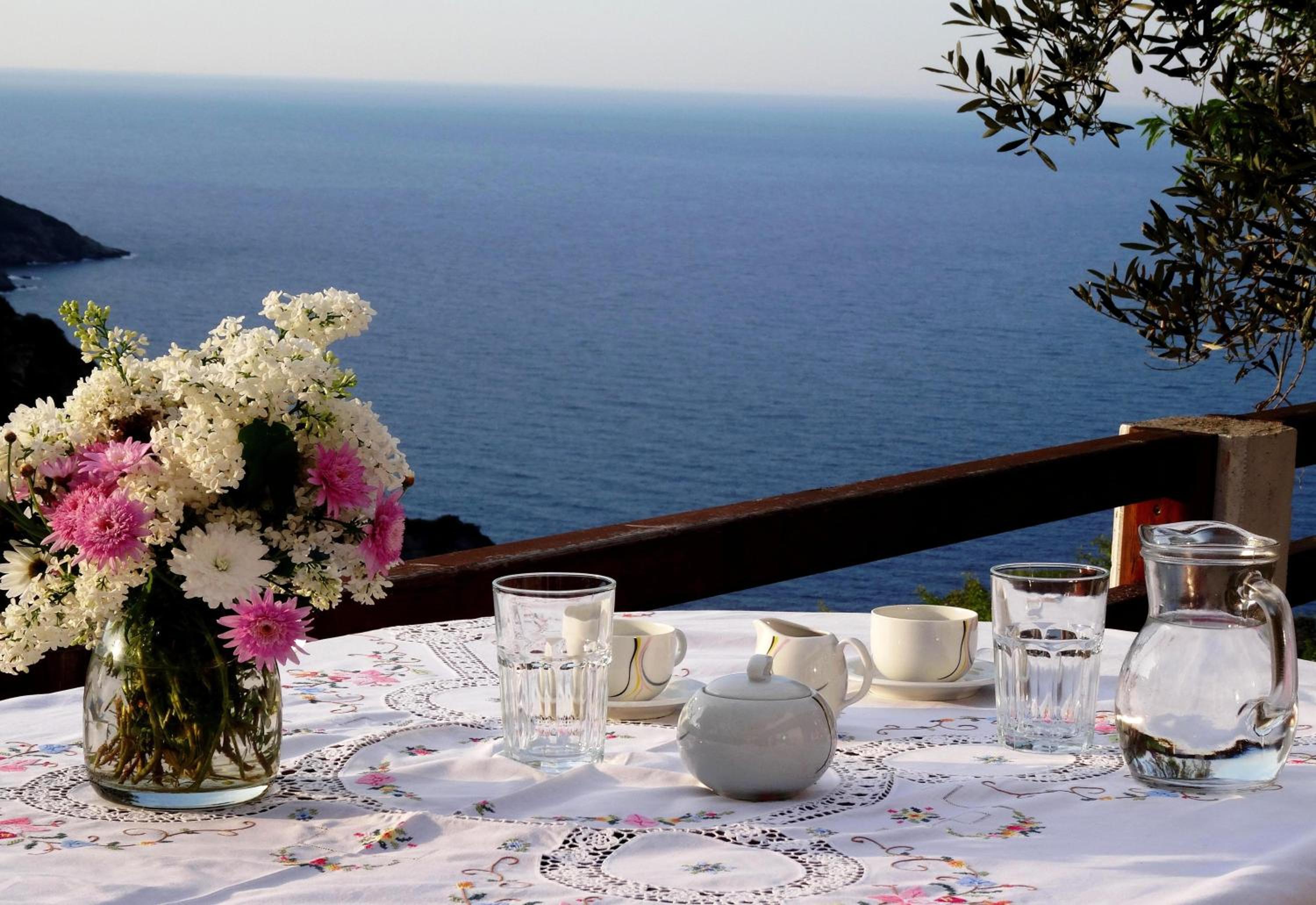 Villa Rose