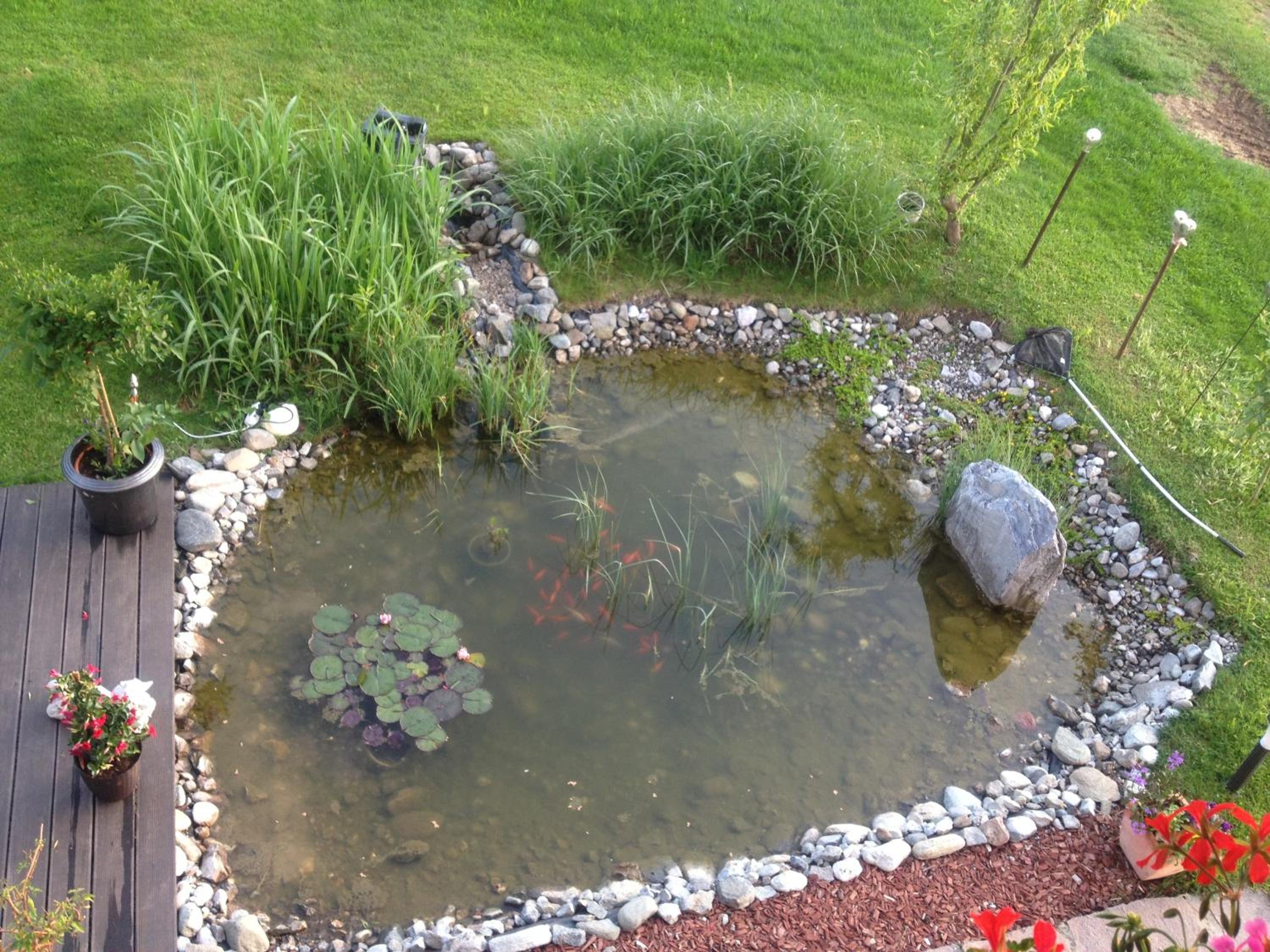 Photo 16