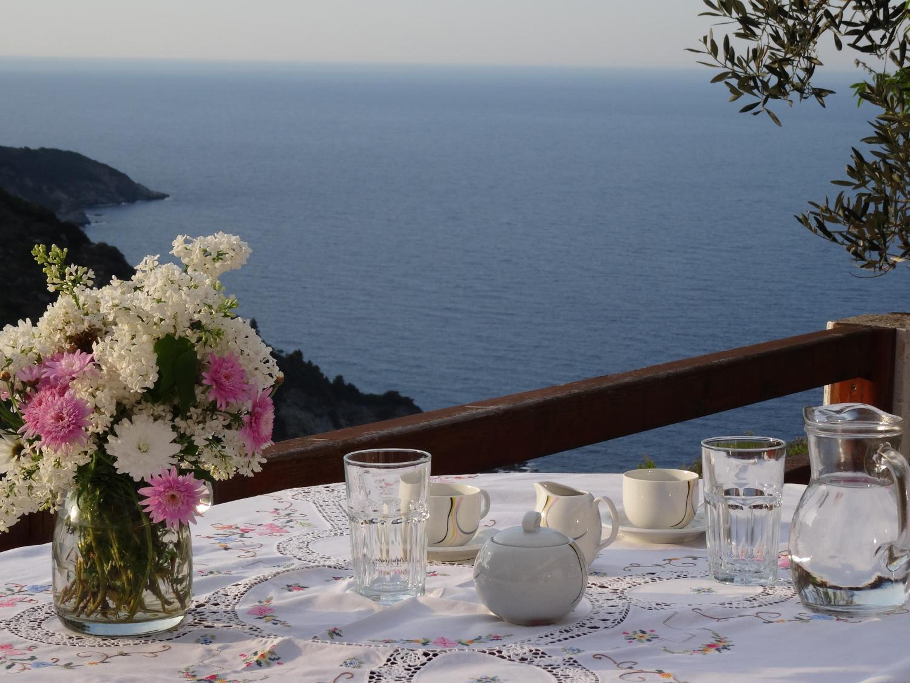 Villa Rose