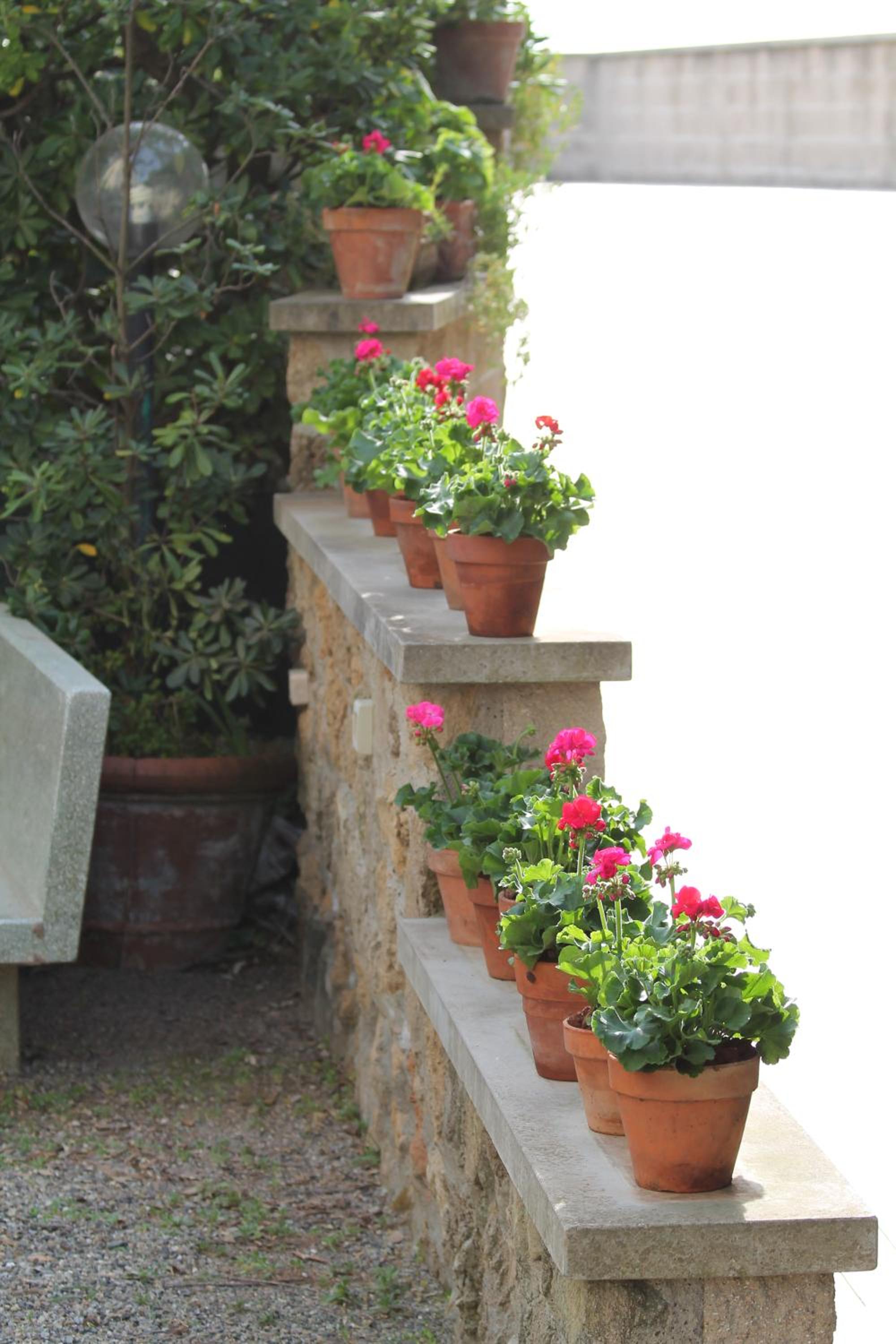 Hotel La Marinella, photo 53