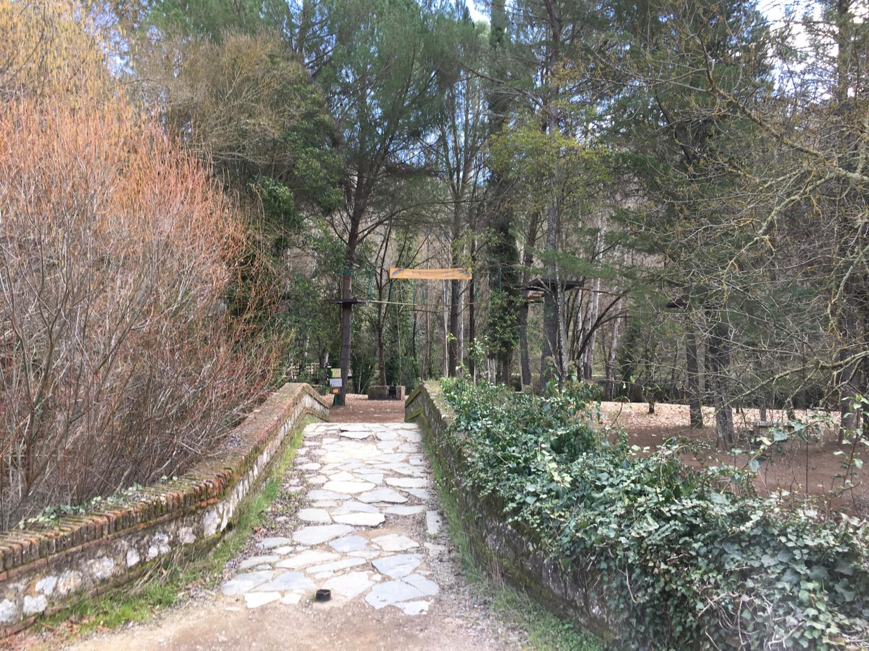 Photo 27