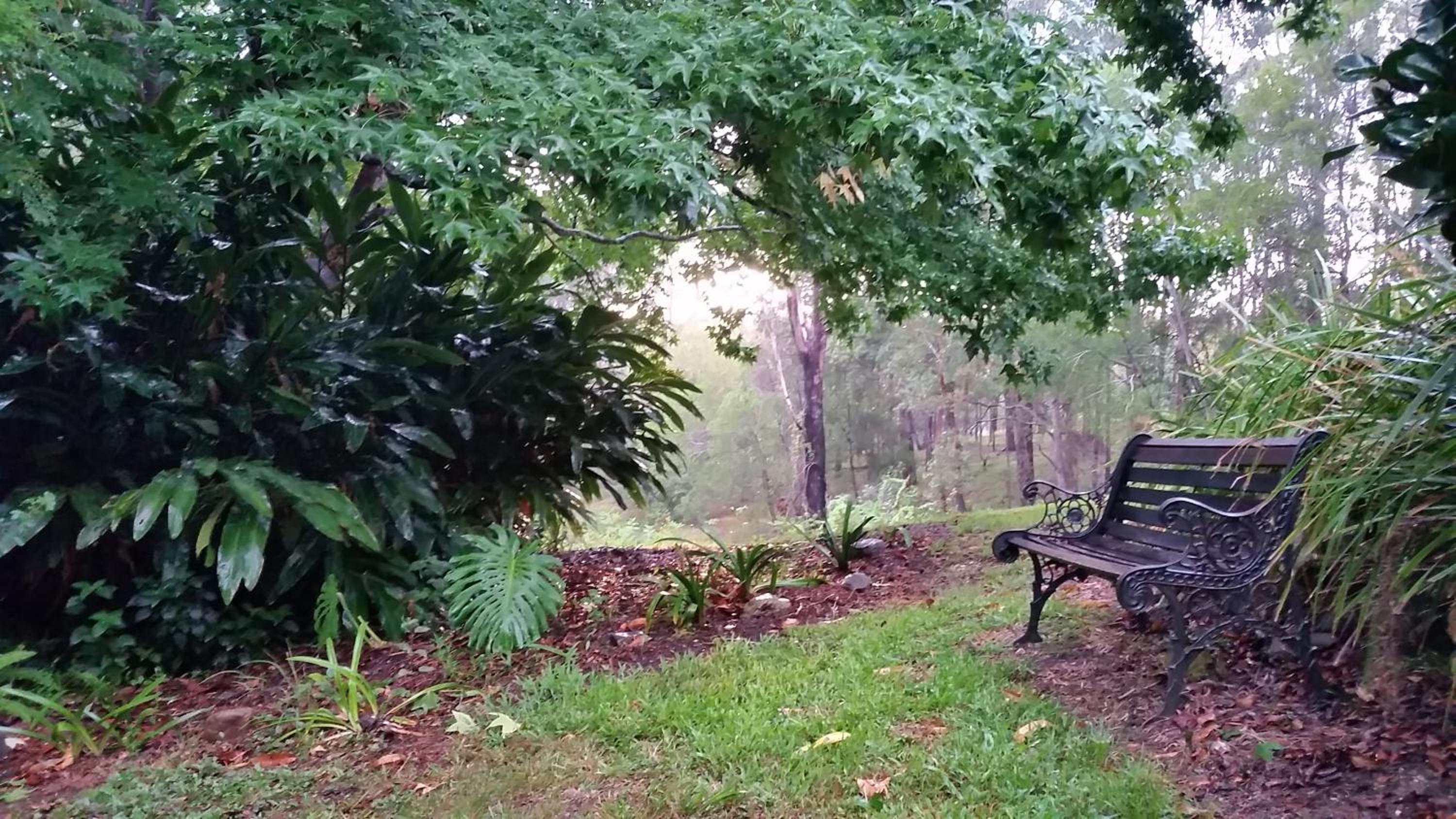 Forest view bungalow