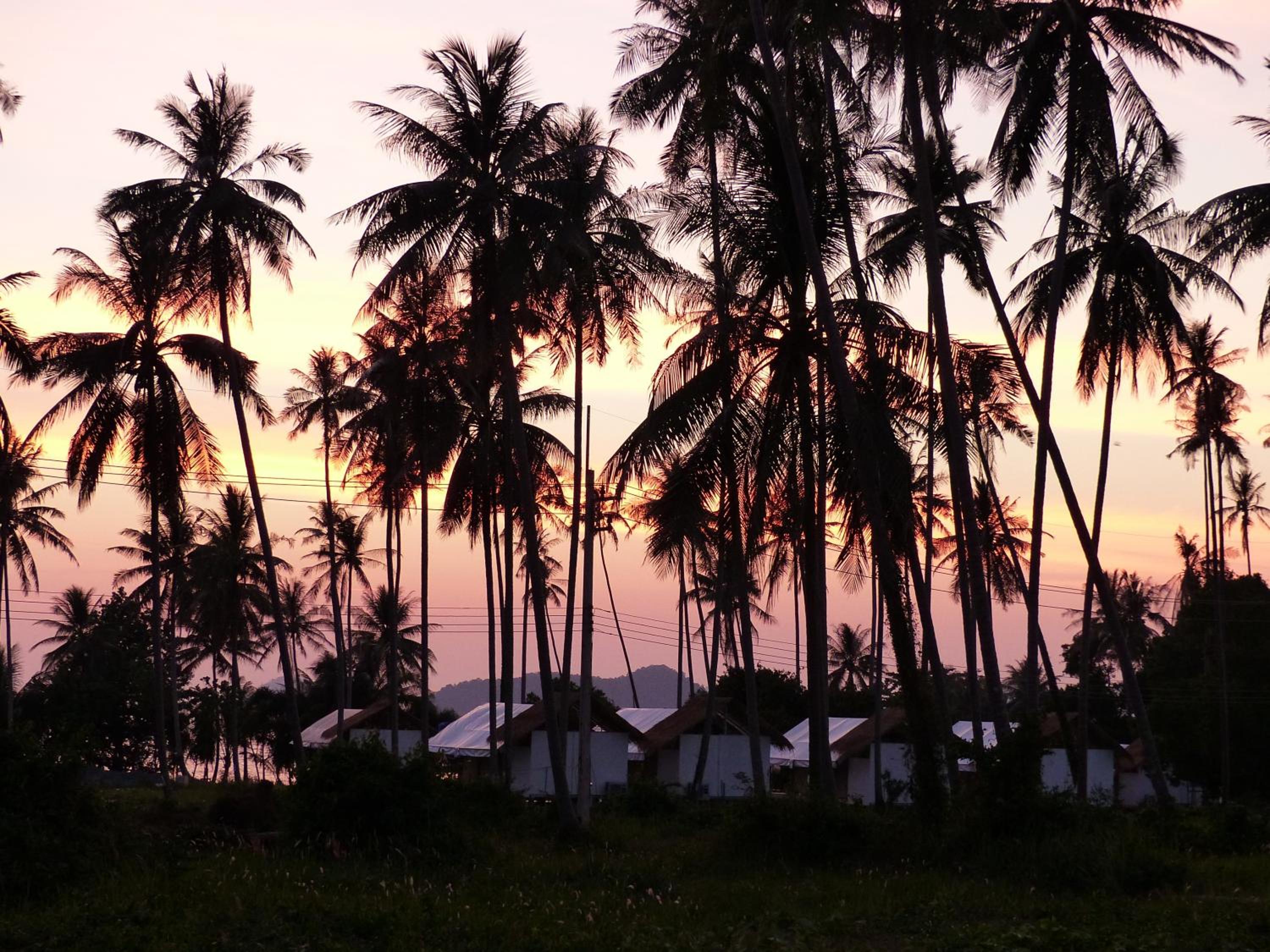 Naivacha Tent Koh Mak