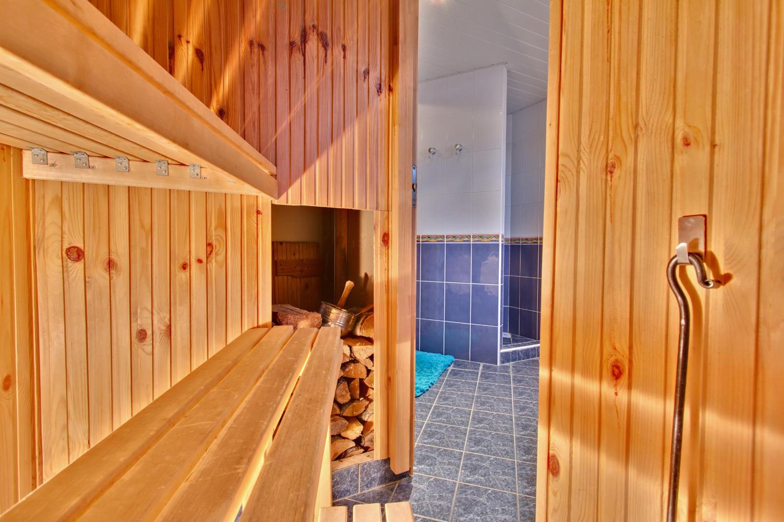 Toompuiestee Penthouse with Sauna