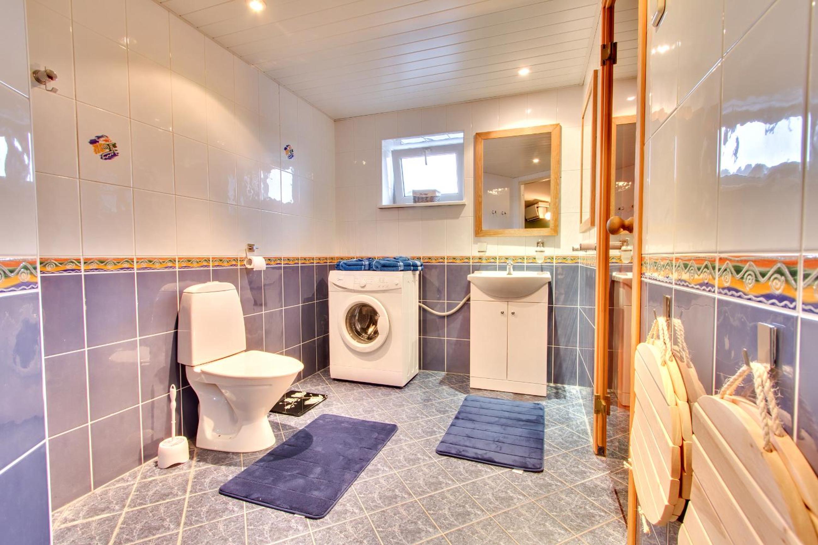 Toompuiestee Penthouse with Sauna