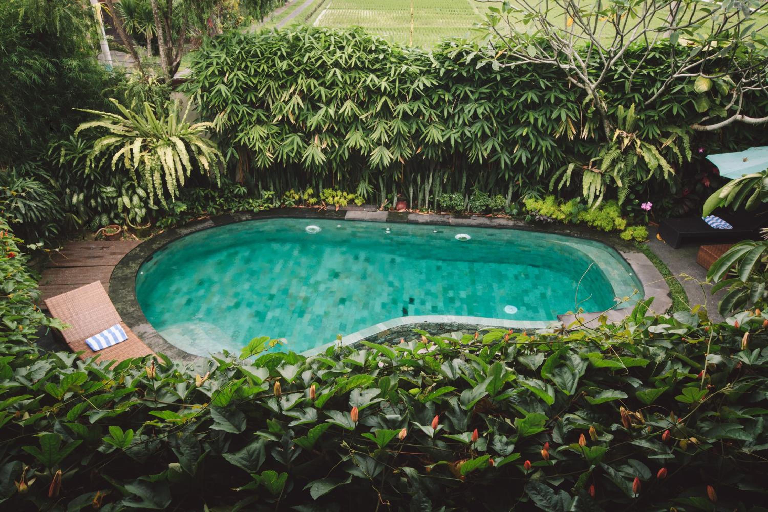 Junjungan Ubud Hotel and Spa - Image 2