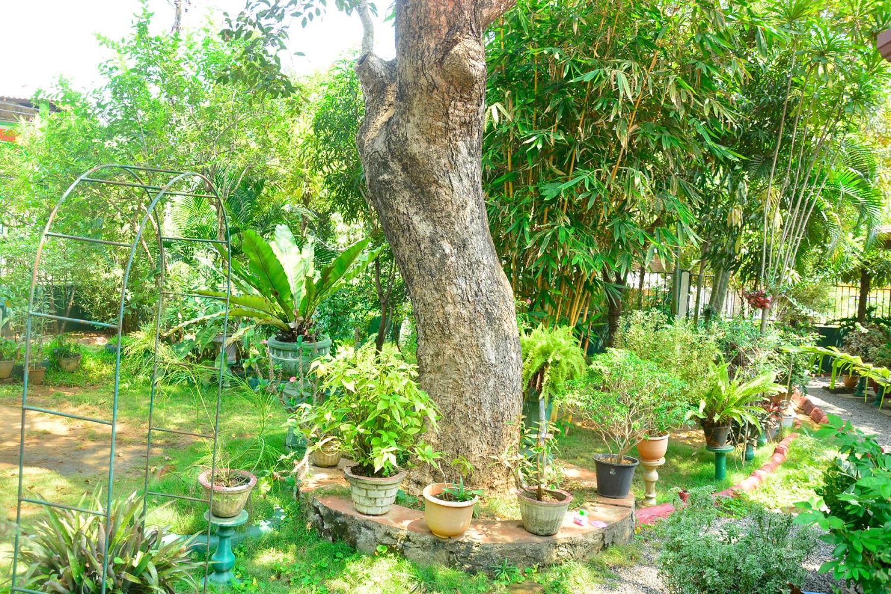 Photo 12