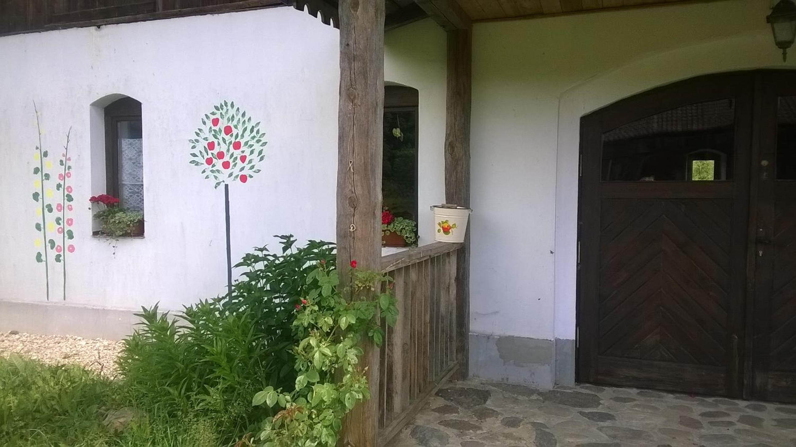 Photo 8