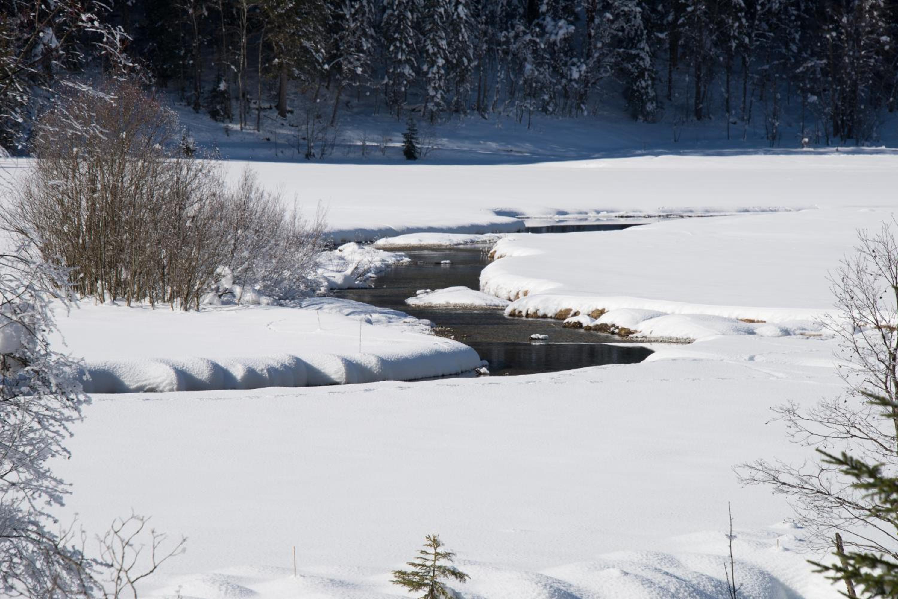 Photo 44