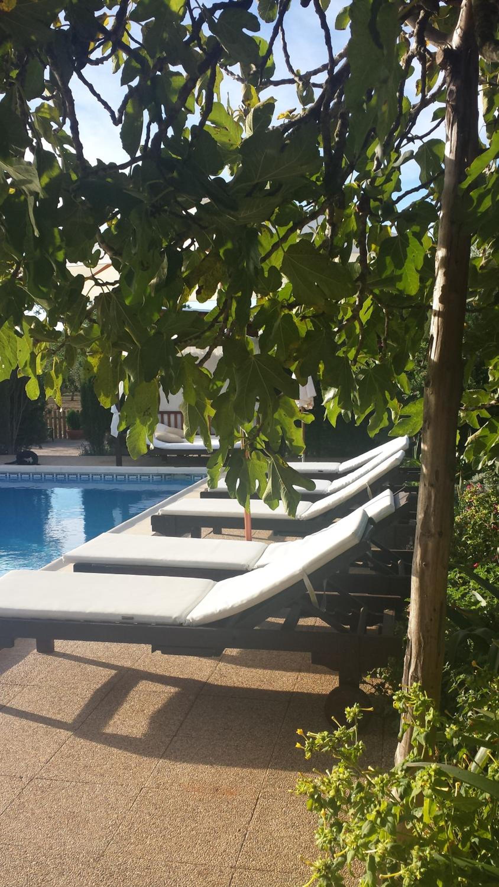 Agroturismo Sa Vinya d'en Palerm