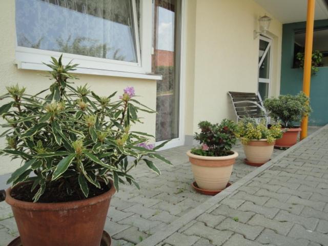 Landgasthof Traube
