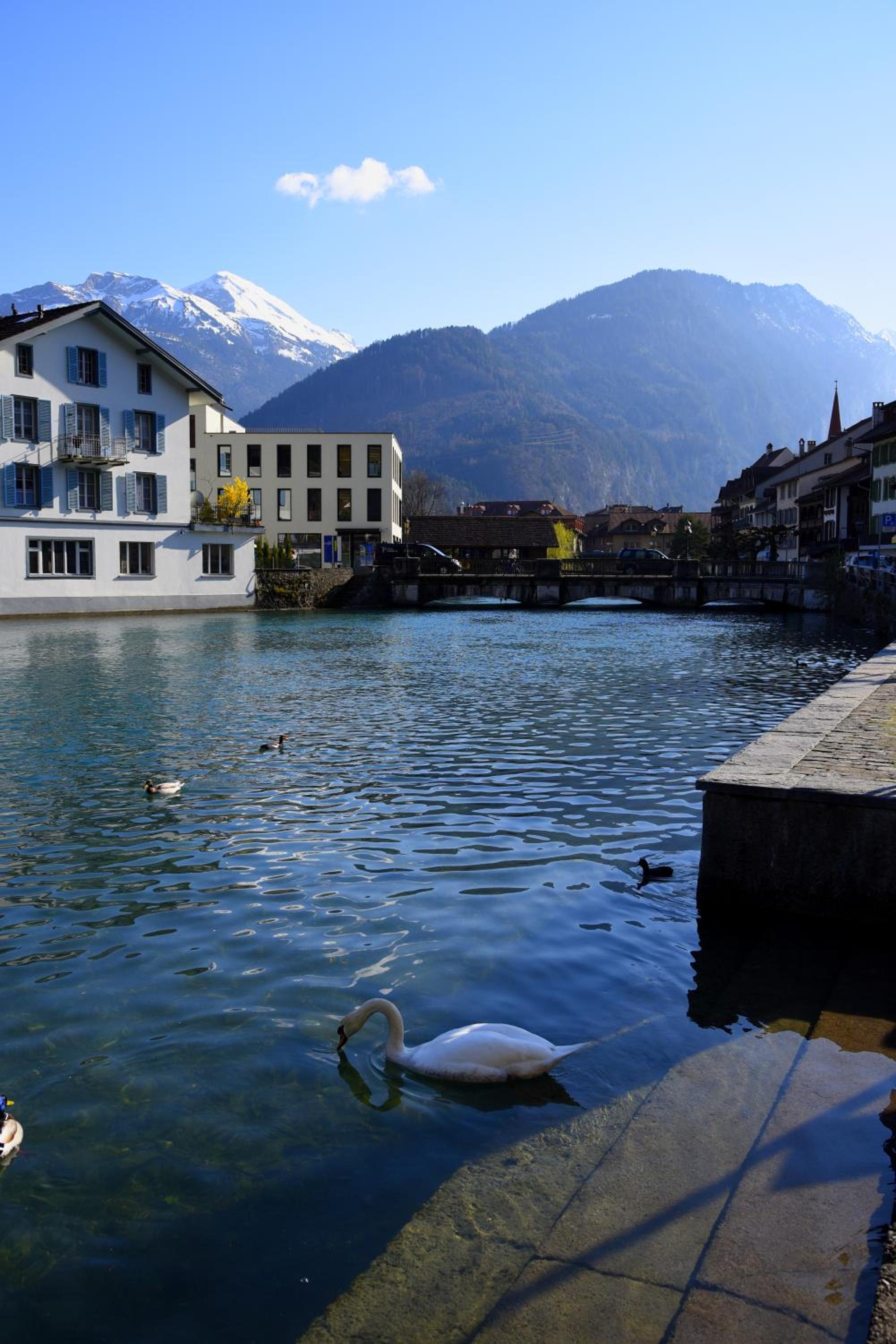 The River Holiday Apartment