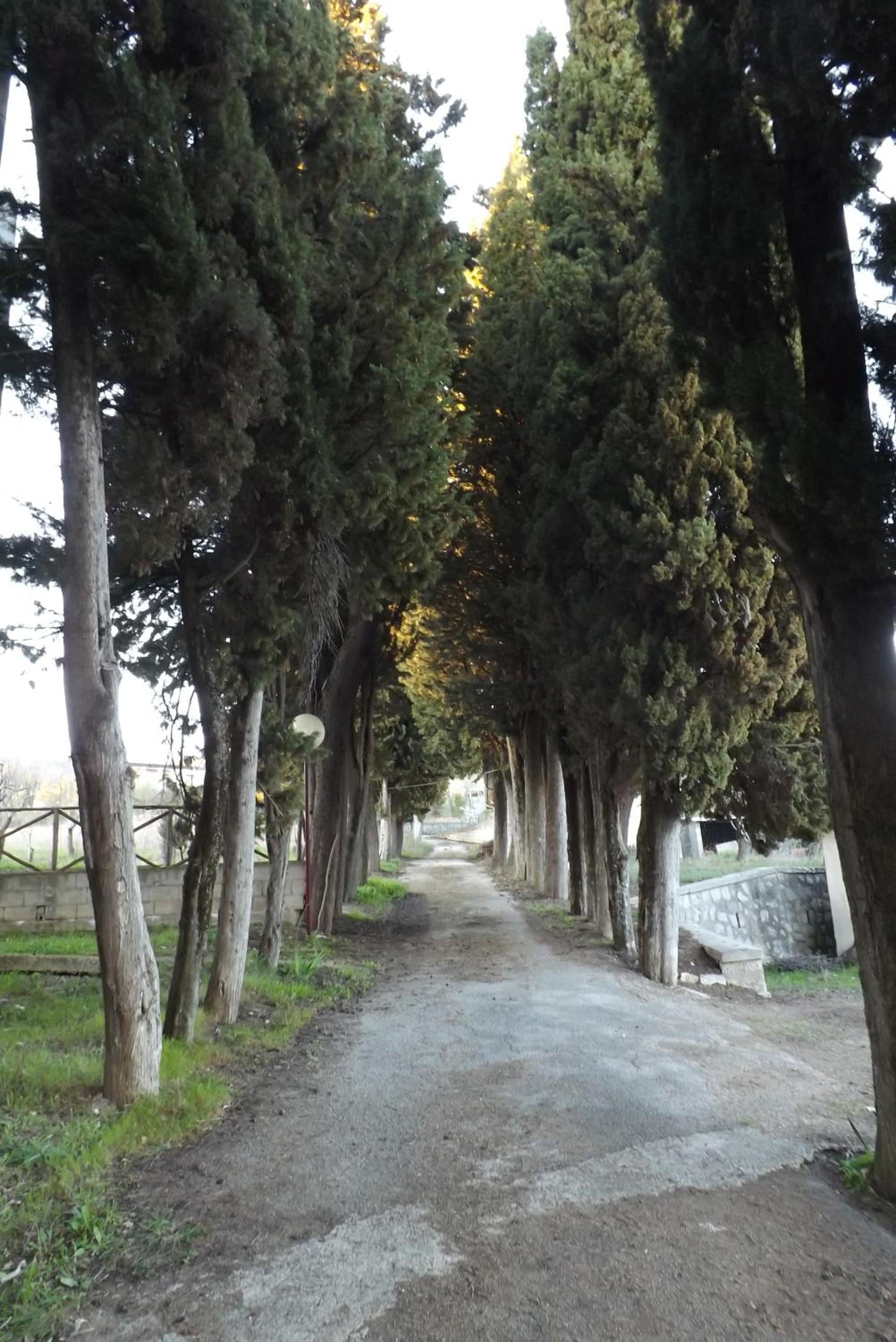 Photo 33