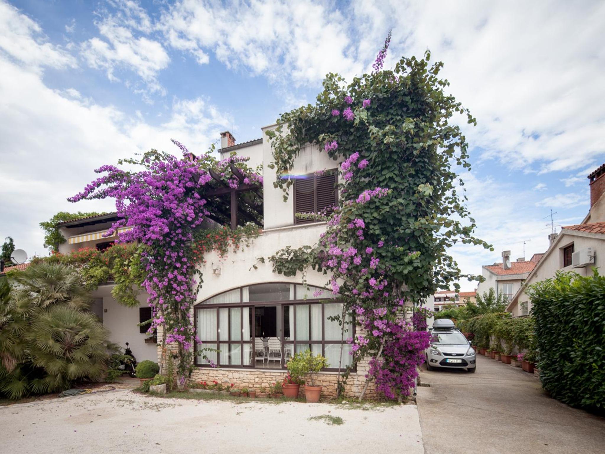 Apartments Maller
