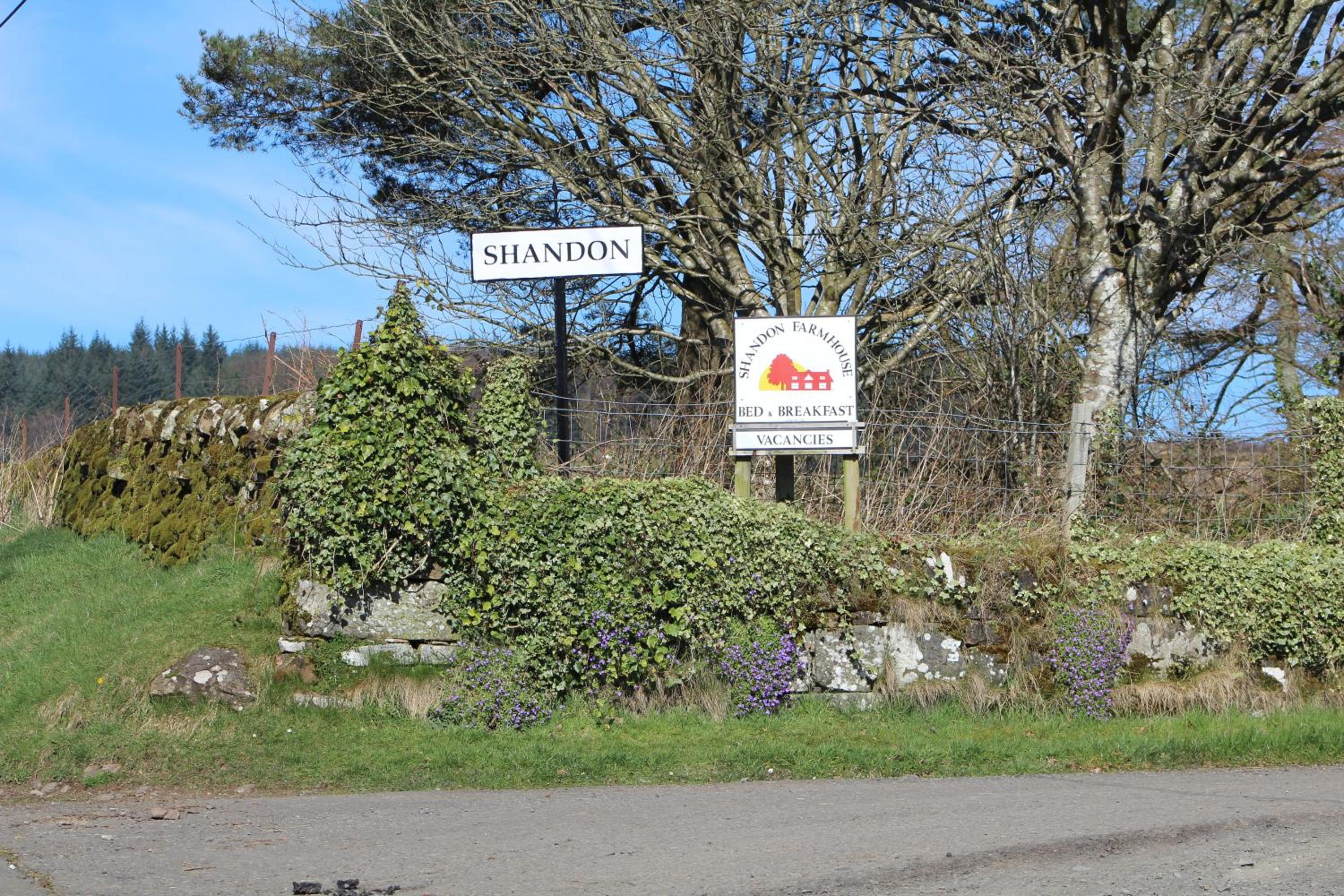 Shandon Farmhouse Bed and Breakfast view 5