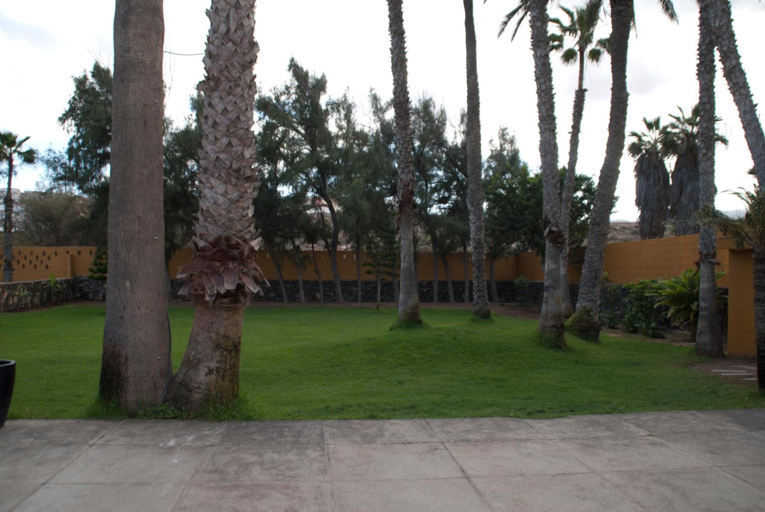 Photo 31