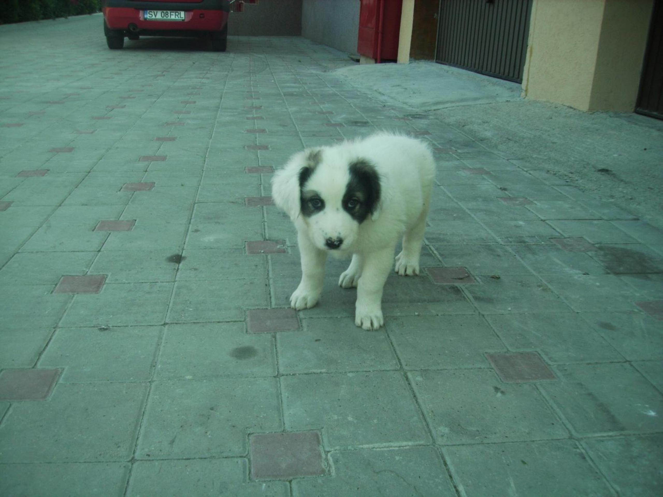Photo 21