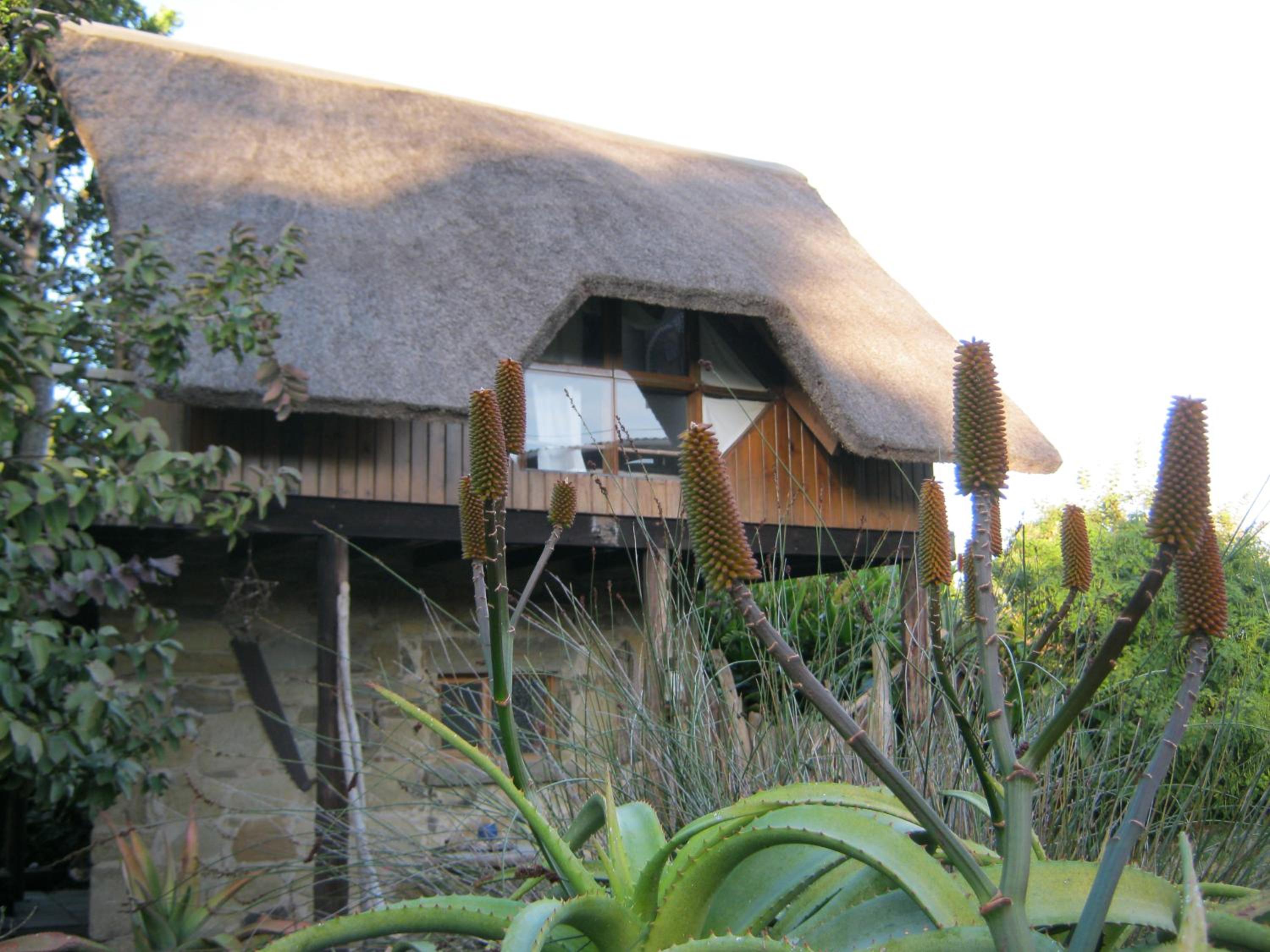 Driftwood Treehouse view 3