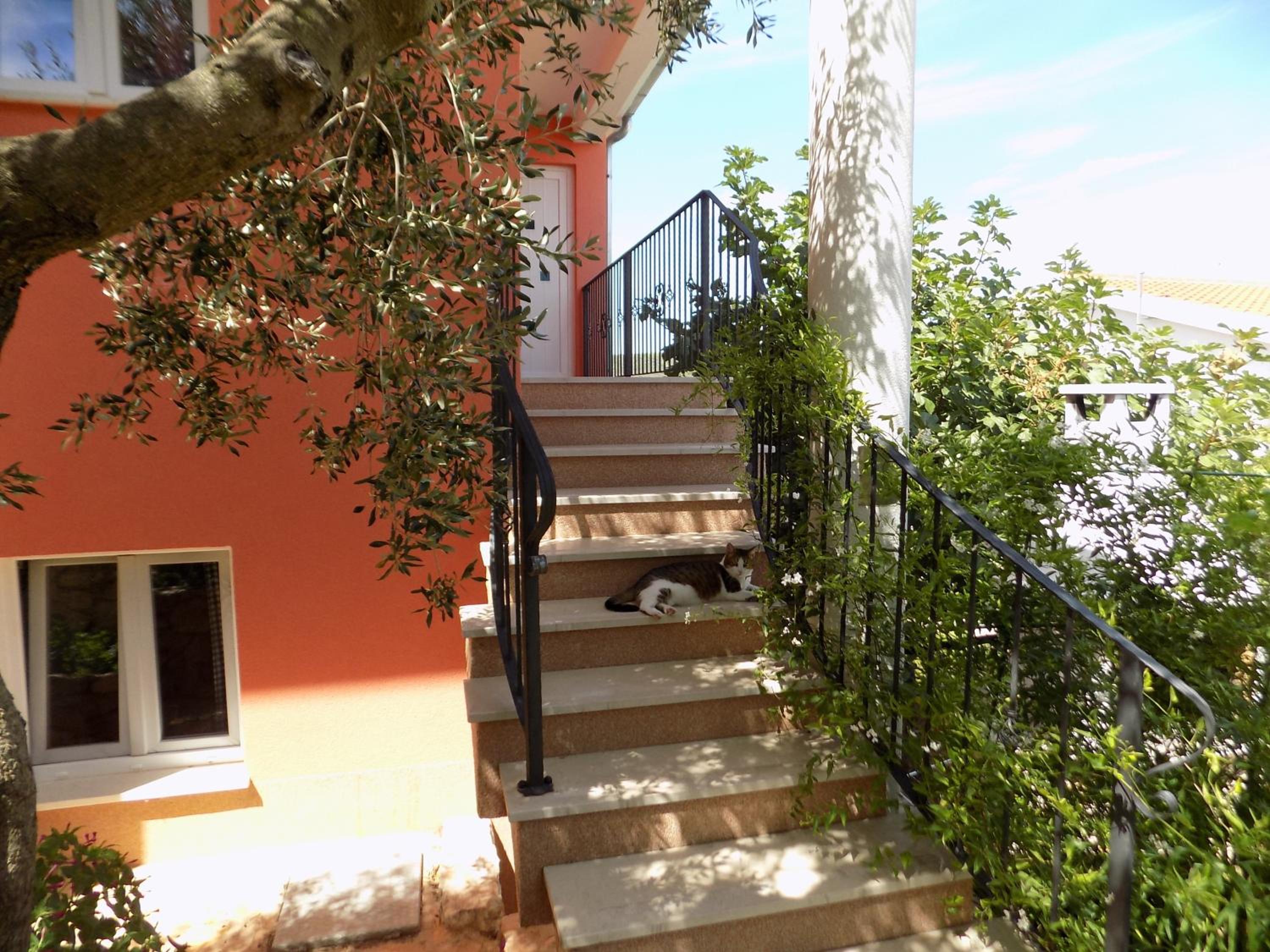 Photo 46