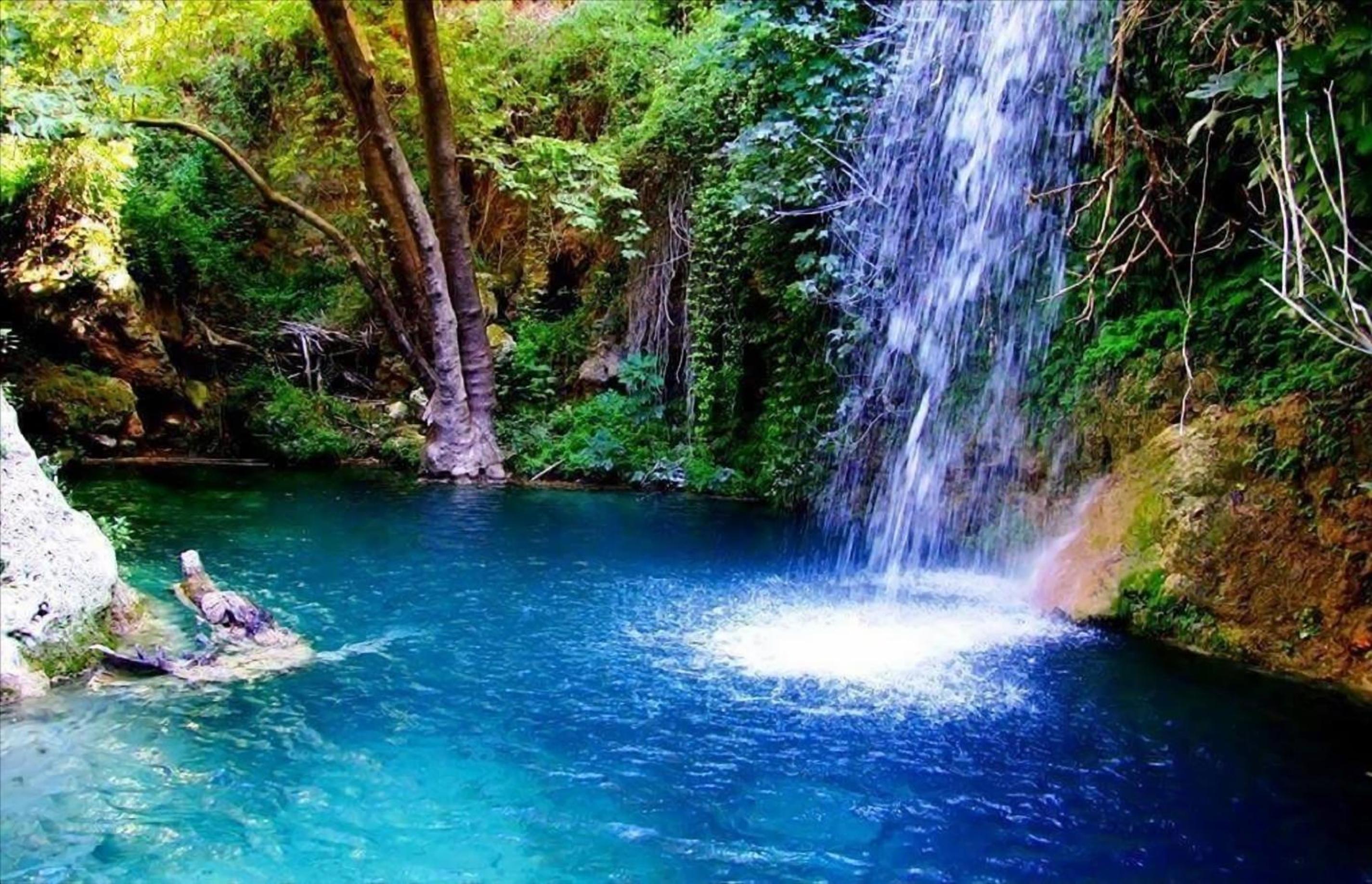 Photo 56