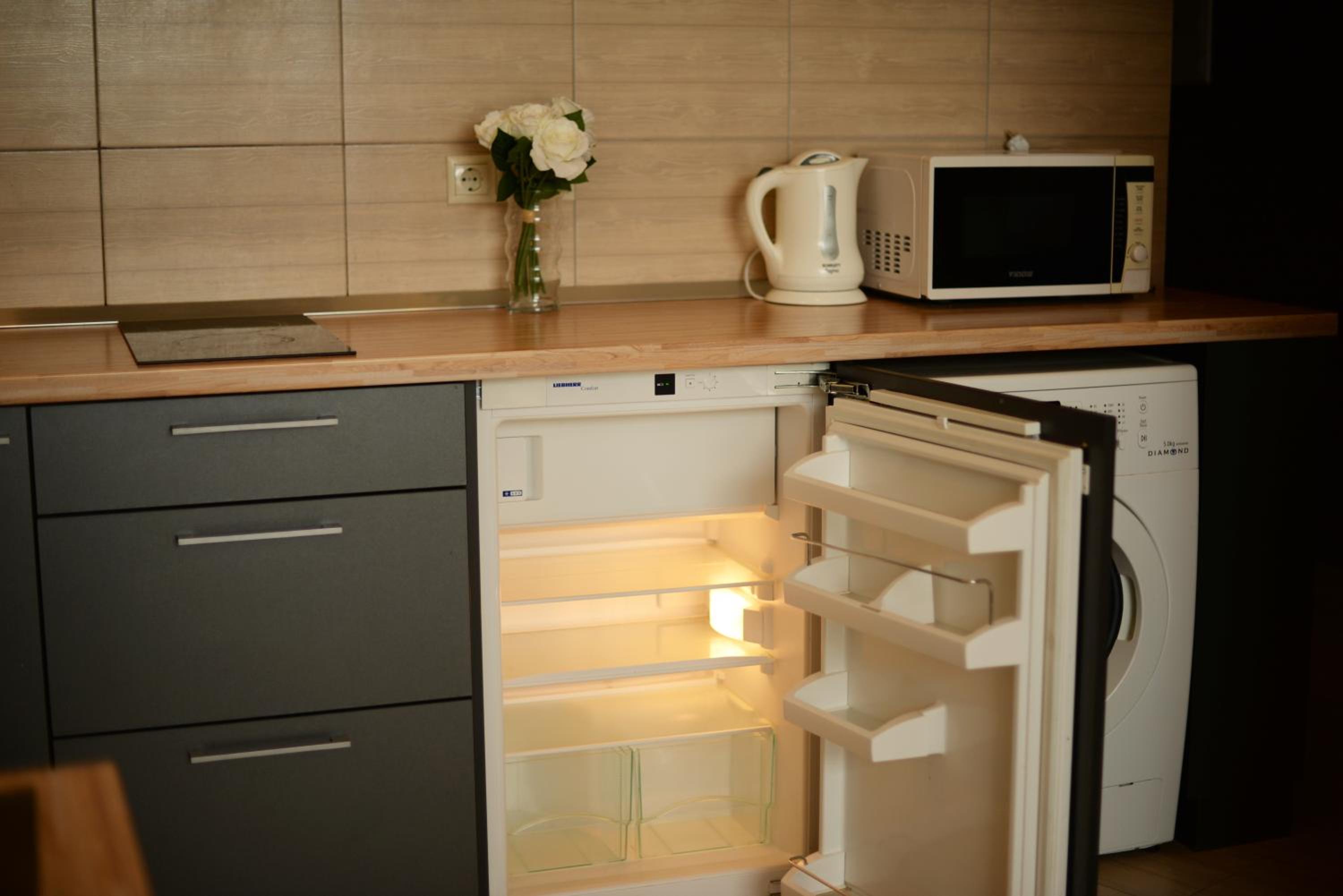 Palanga Apartments - Studio-1 view 5