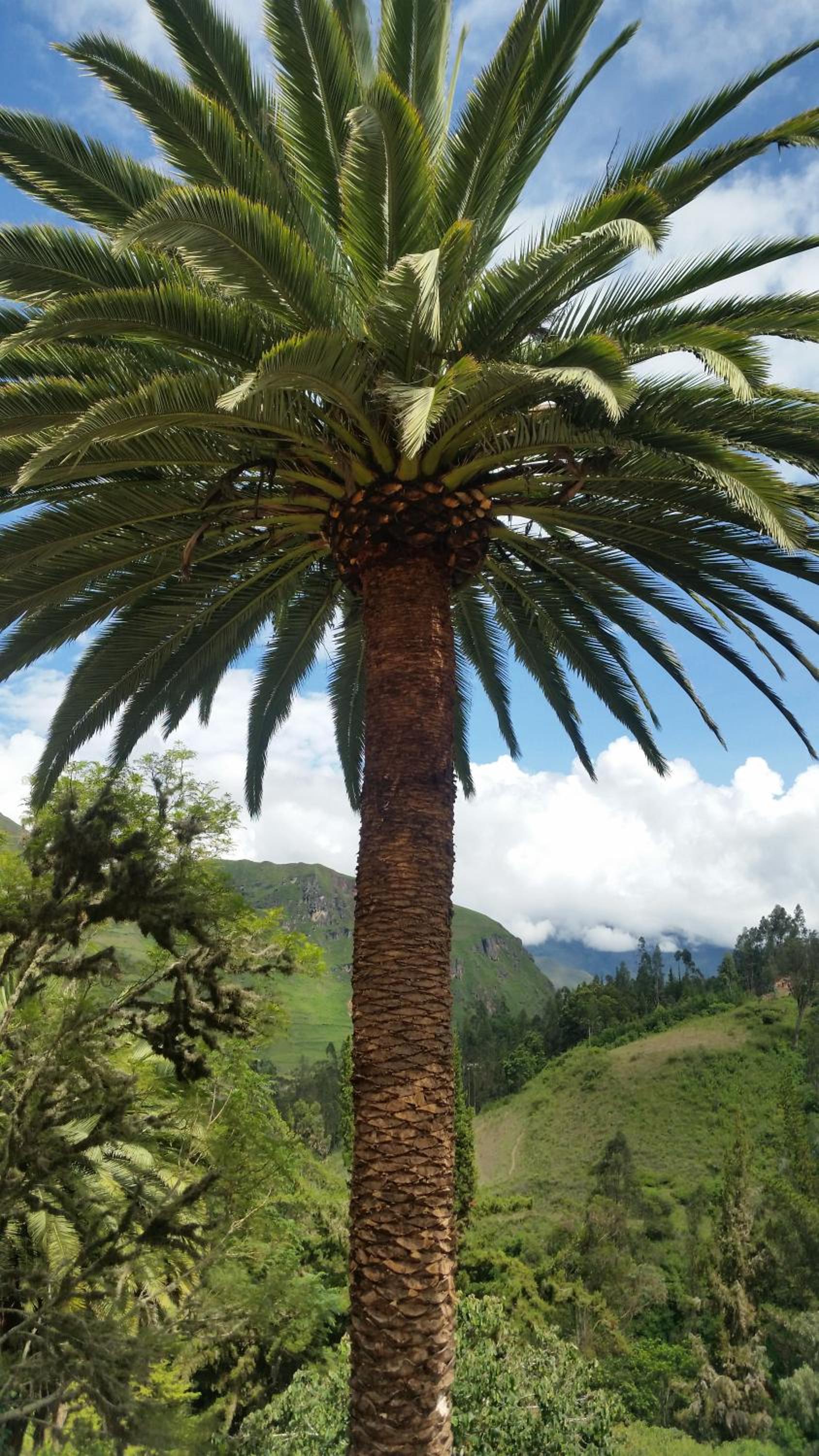 El Encanto Sorata