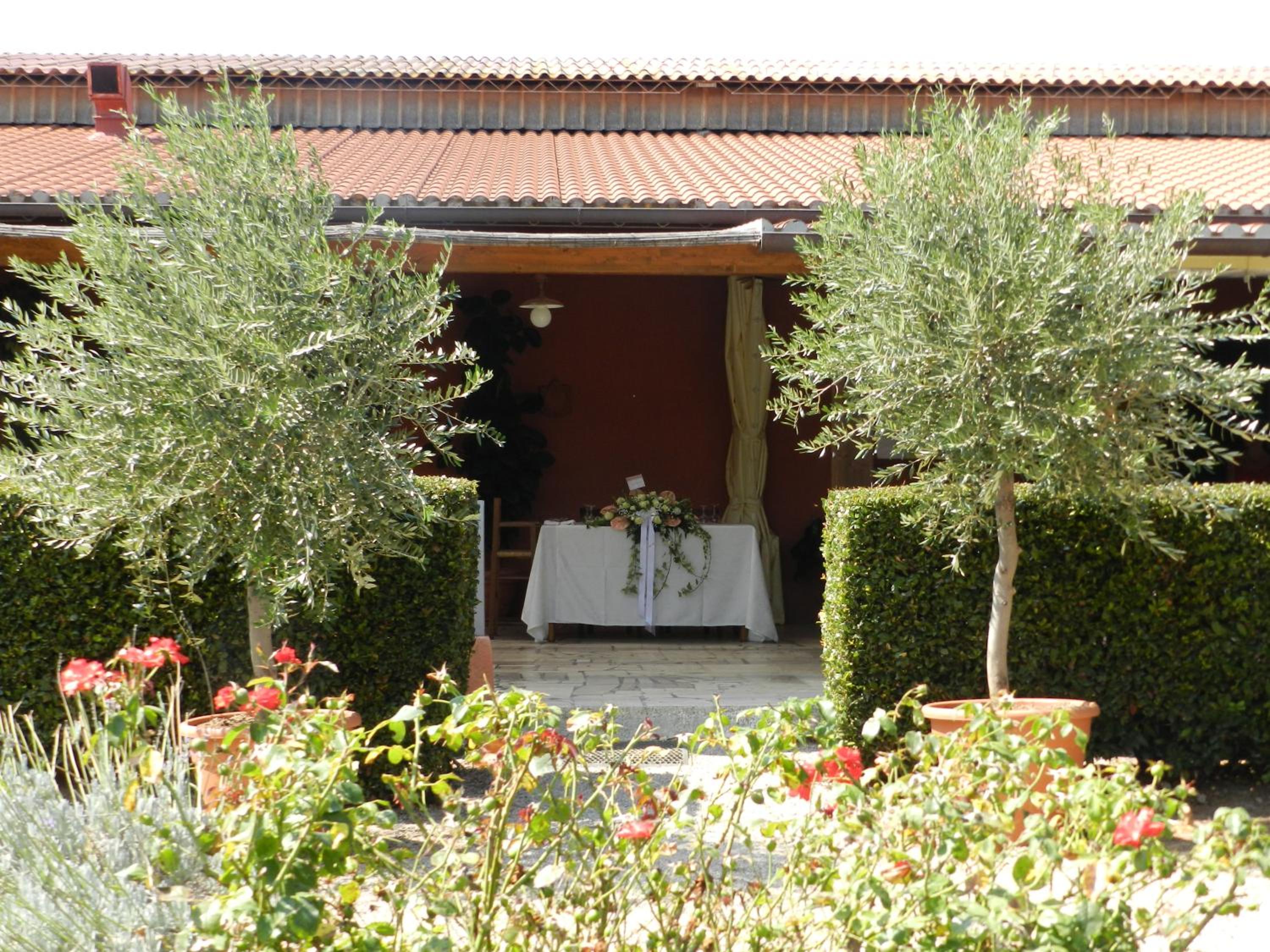 Agriturismo Fusini