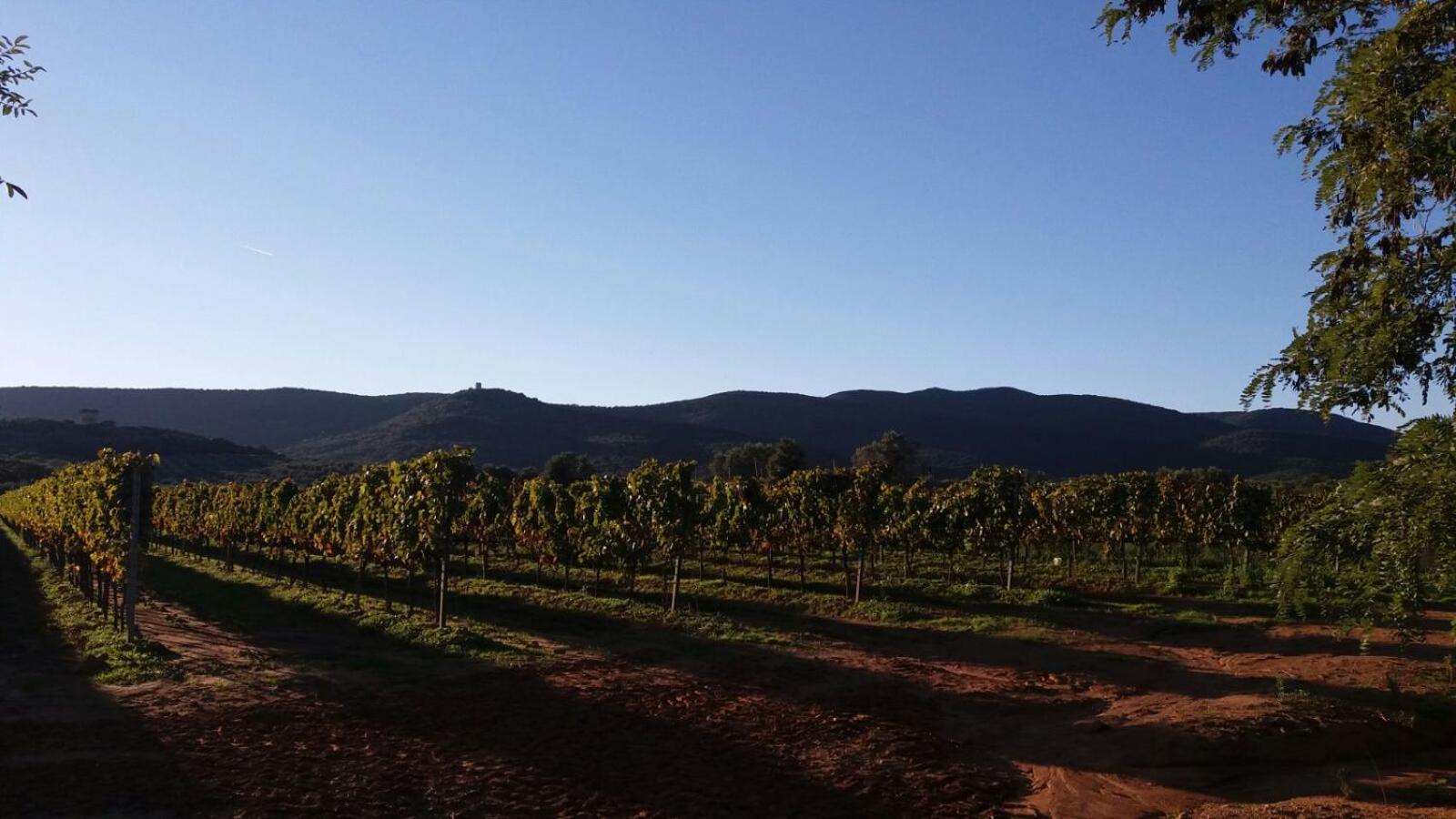 Agriturismo Fusini