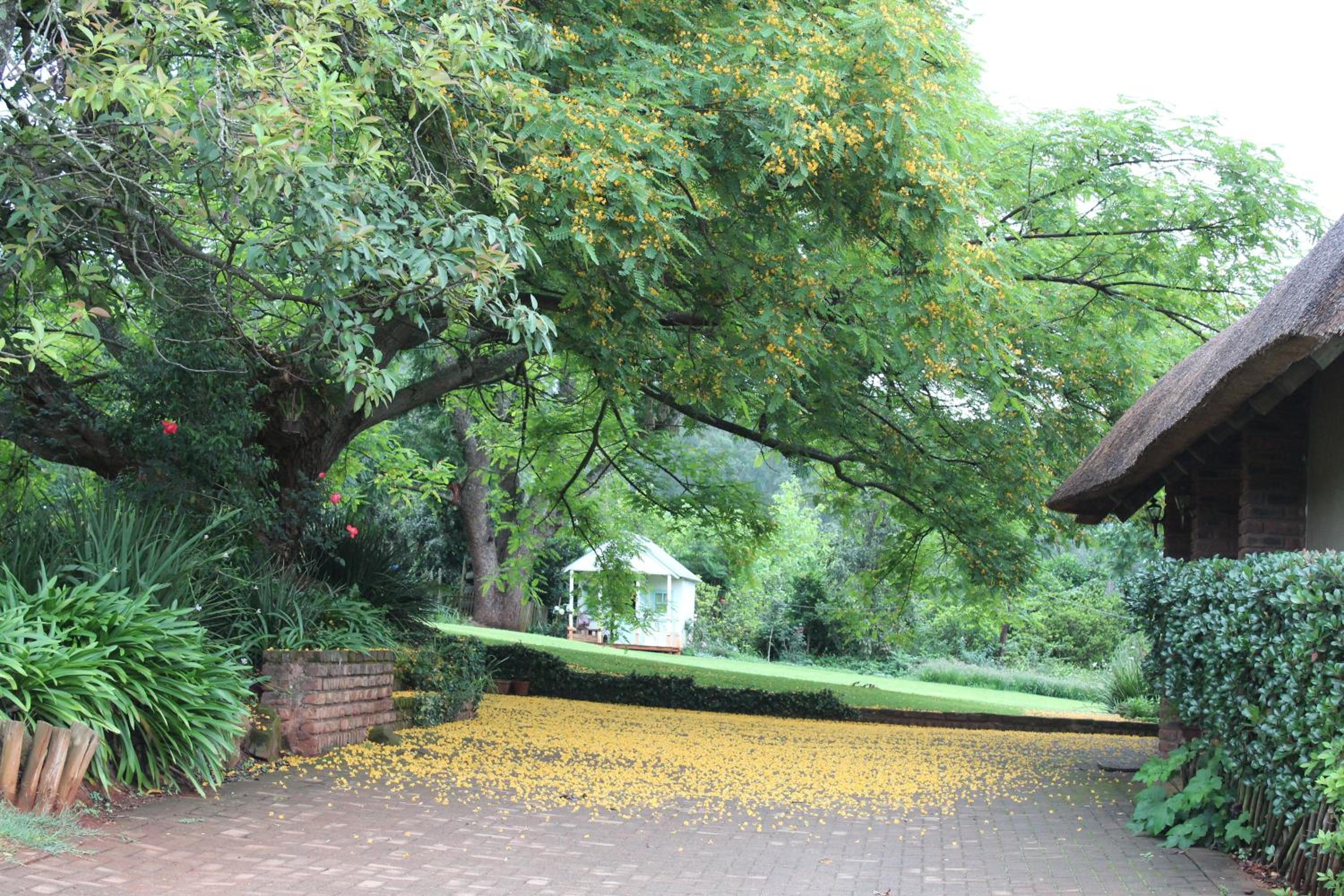 Klipkopje Guest Cottage