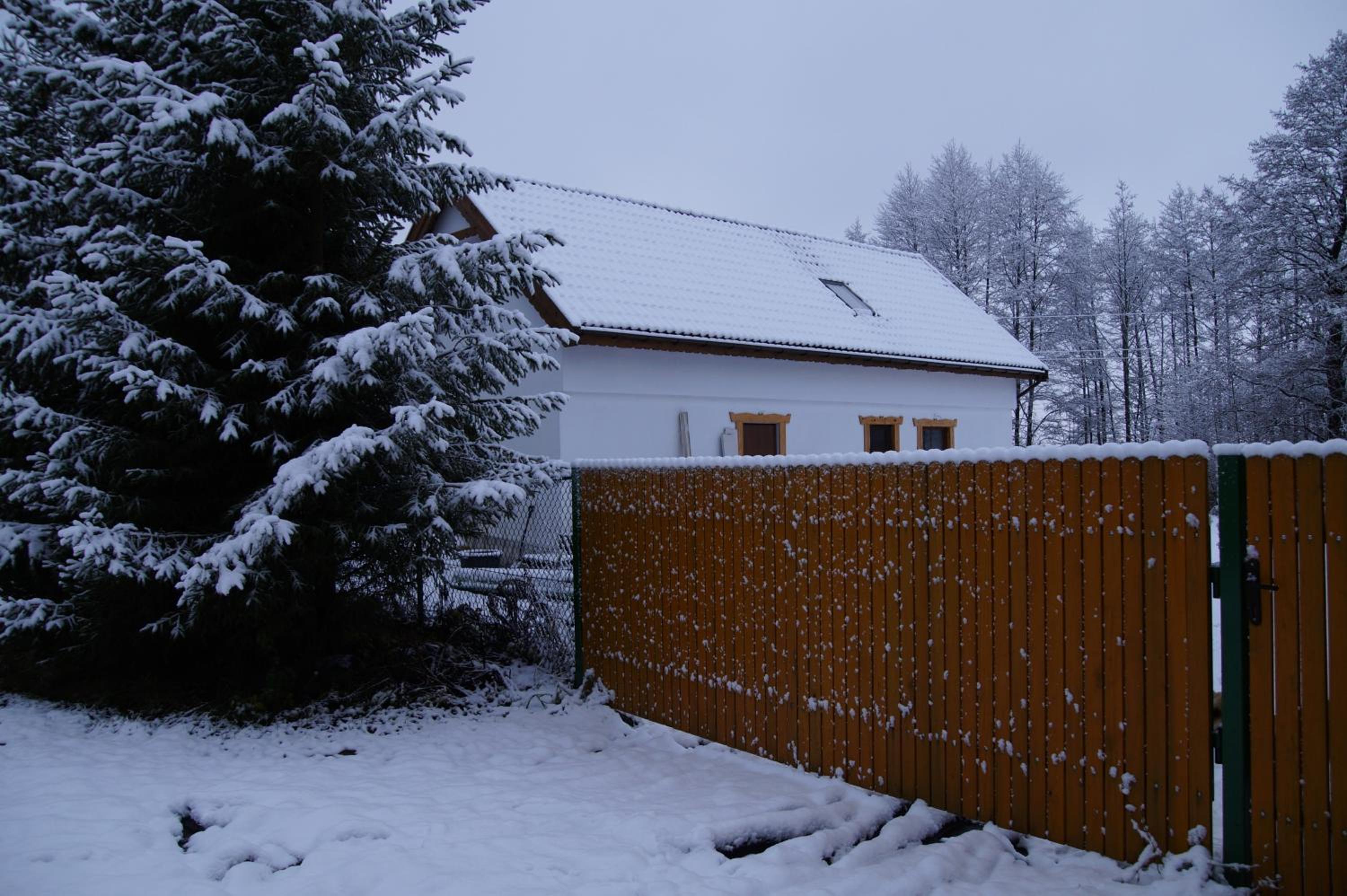 Photo 40