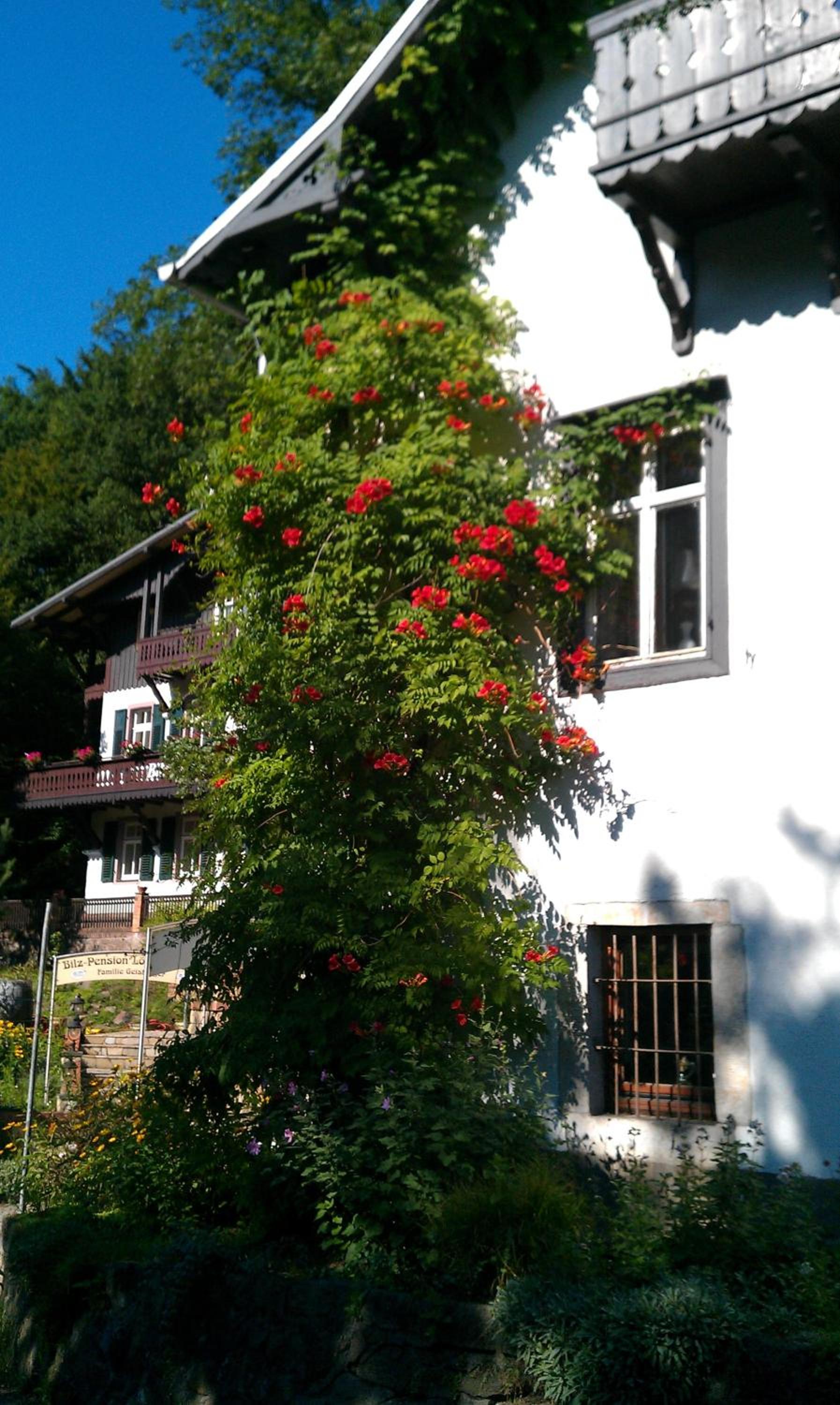Bilz-Pension view 3