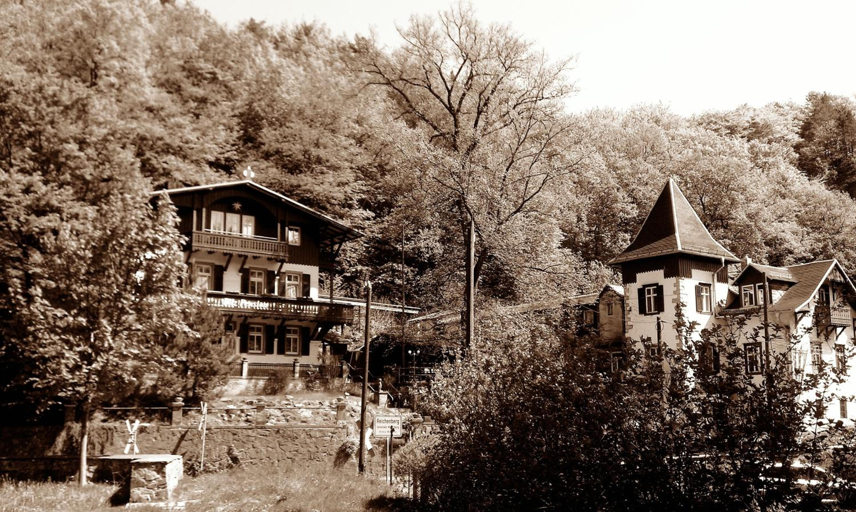 Photo 19