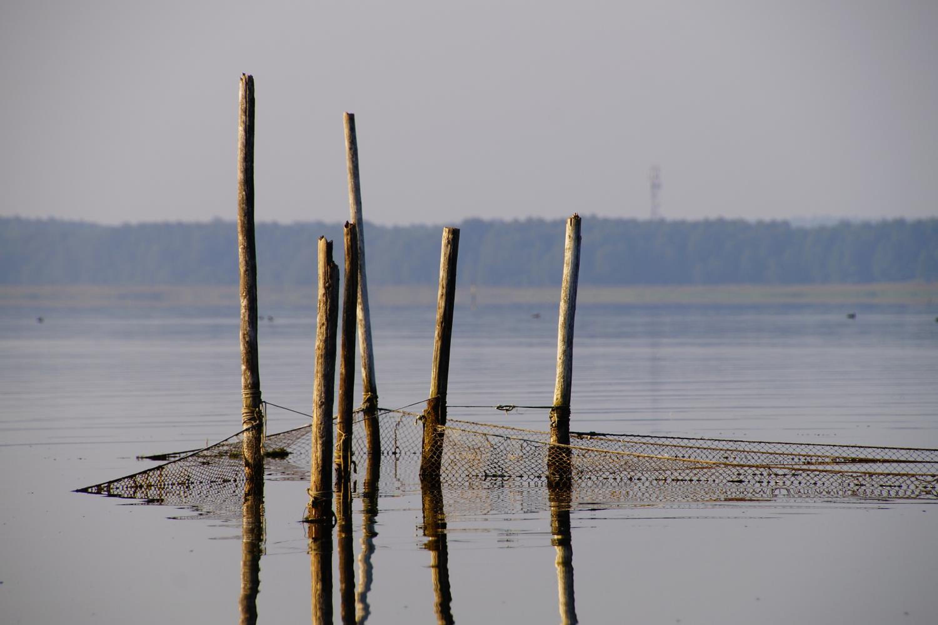 Photo 45