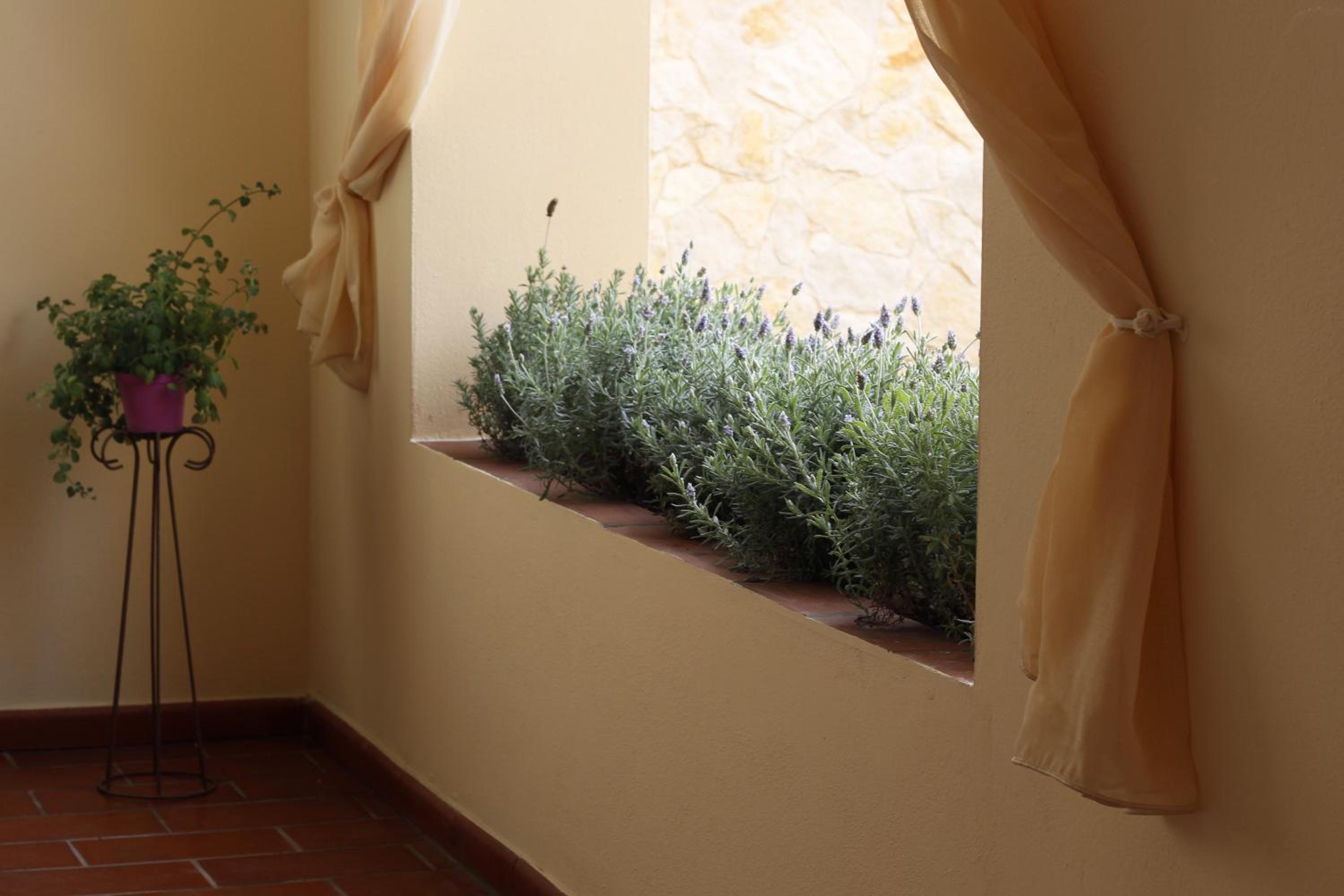 B&B Artemisia
