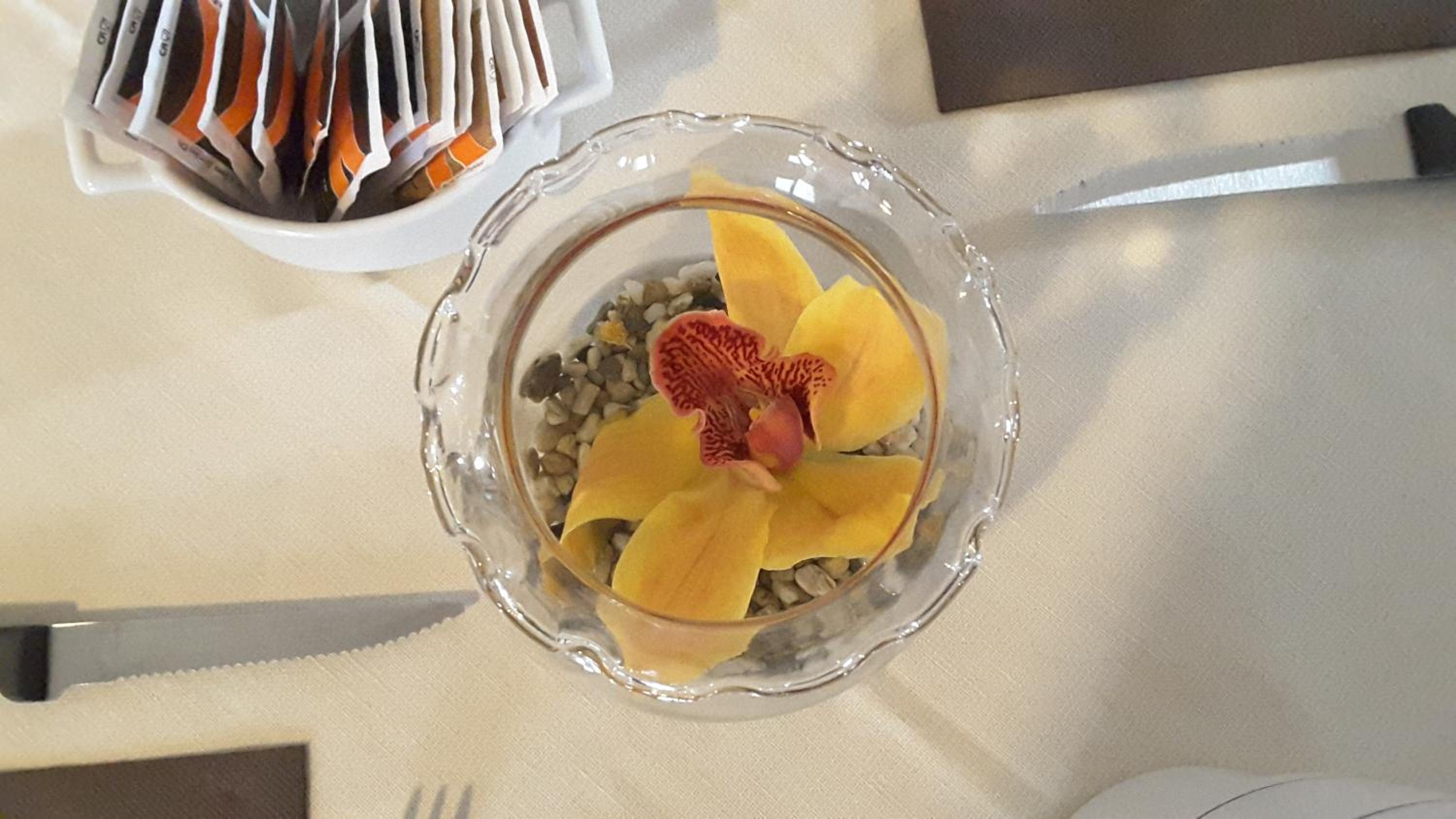 Fattoria il Casone