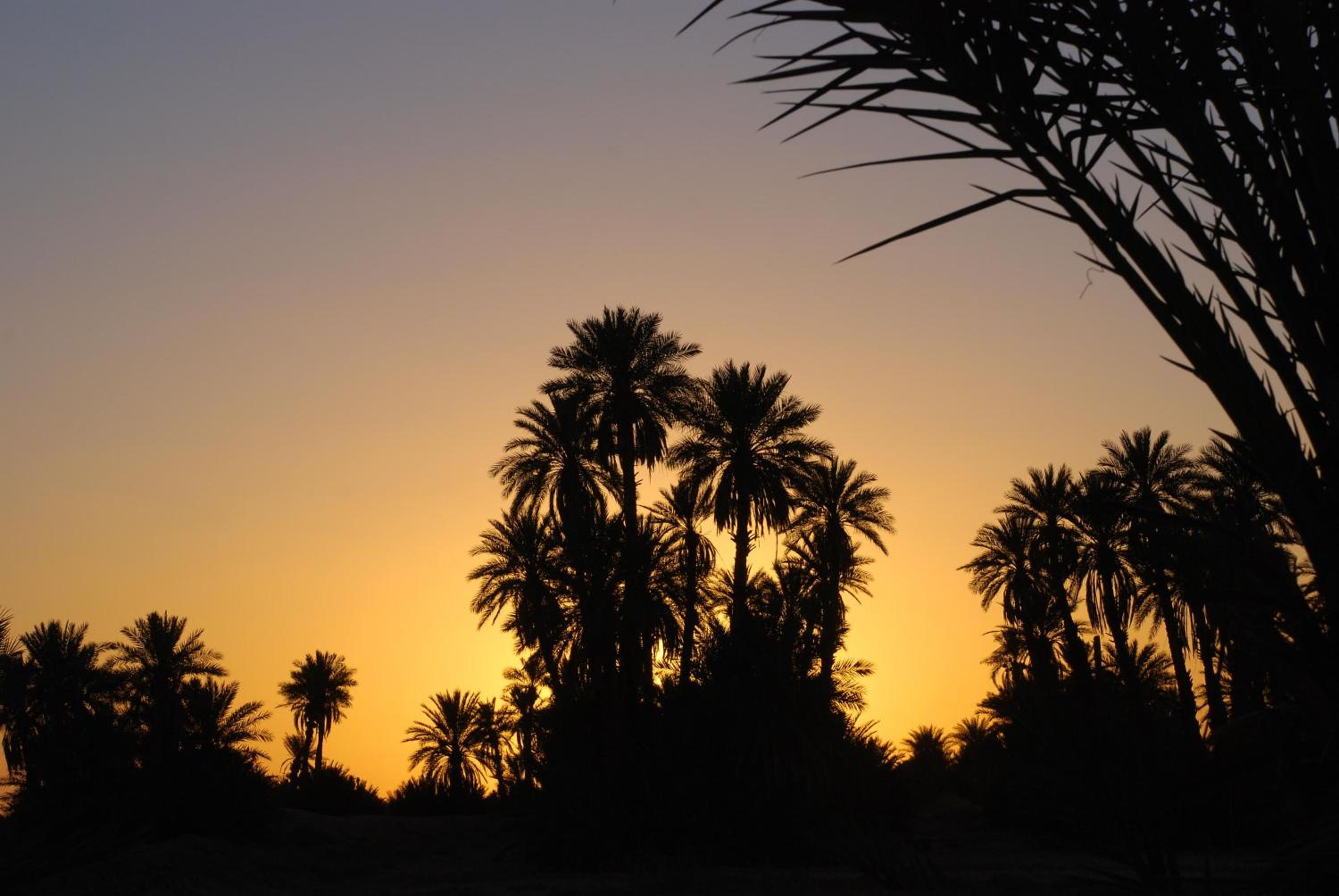 Kasbah Les Alizes Du Desert
