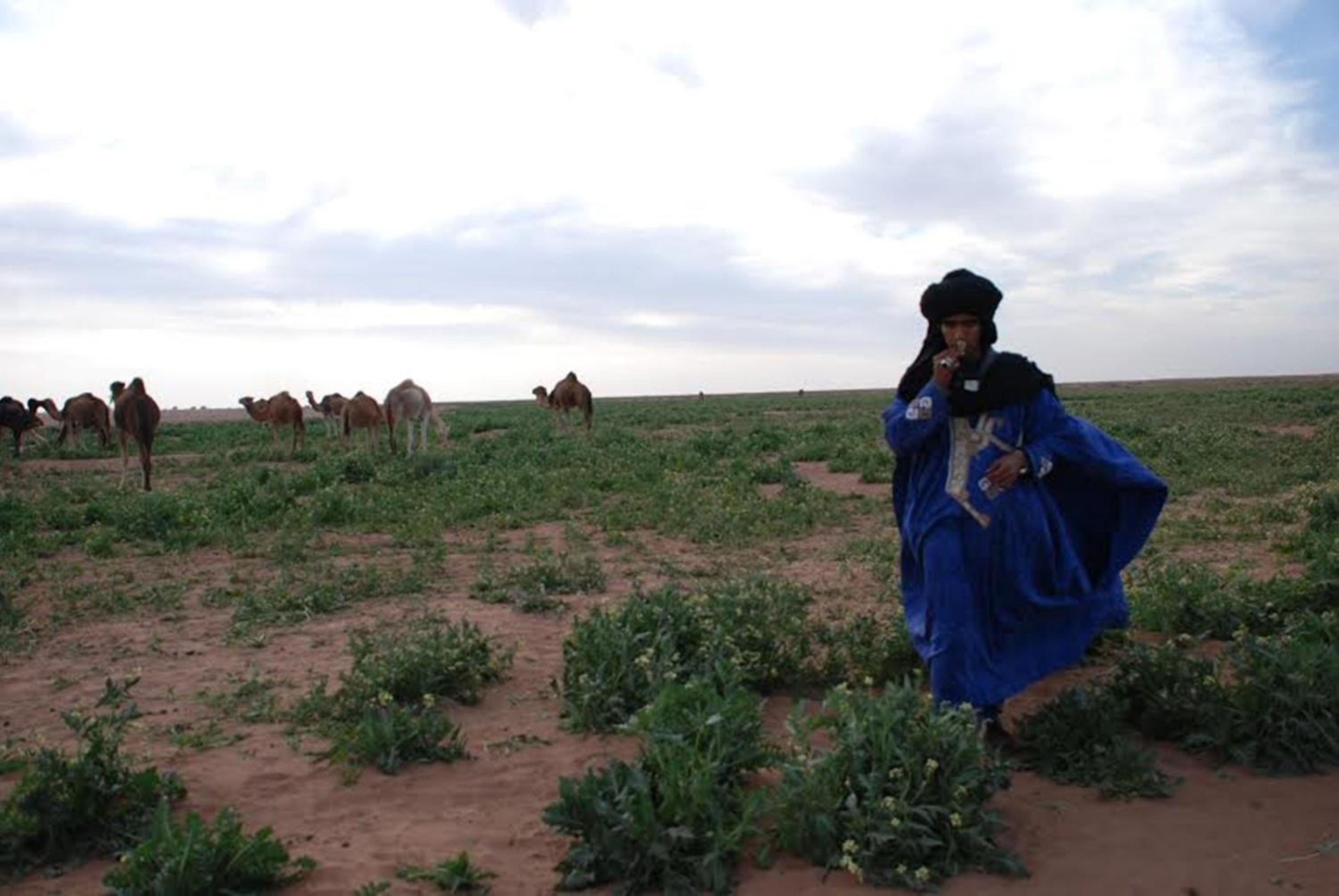 Kasbah Les Alizes Du Desert