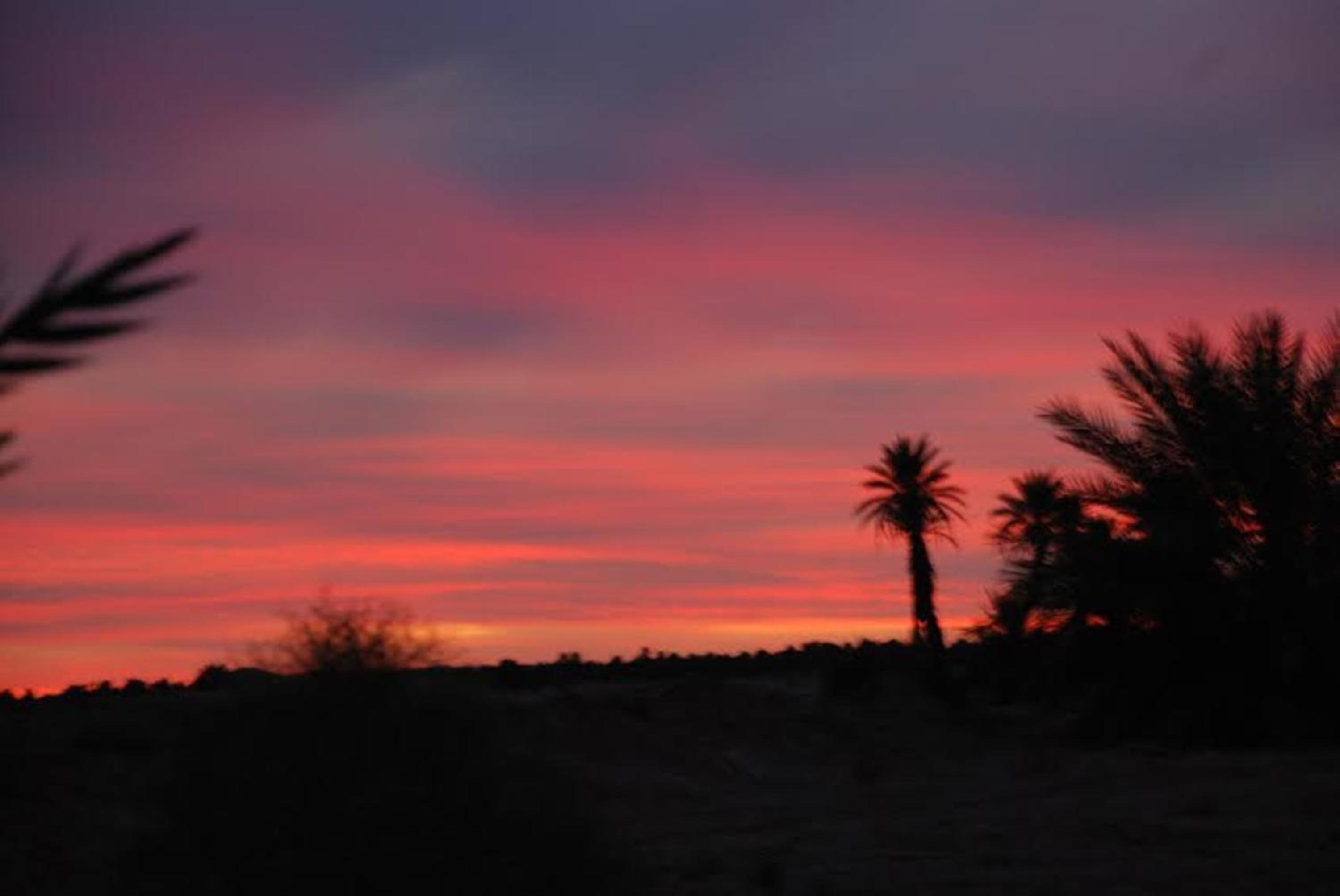 Kasbah Les Alizes Du Desert