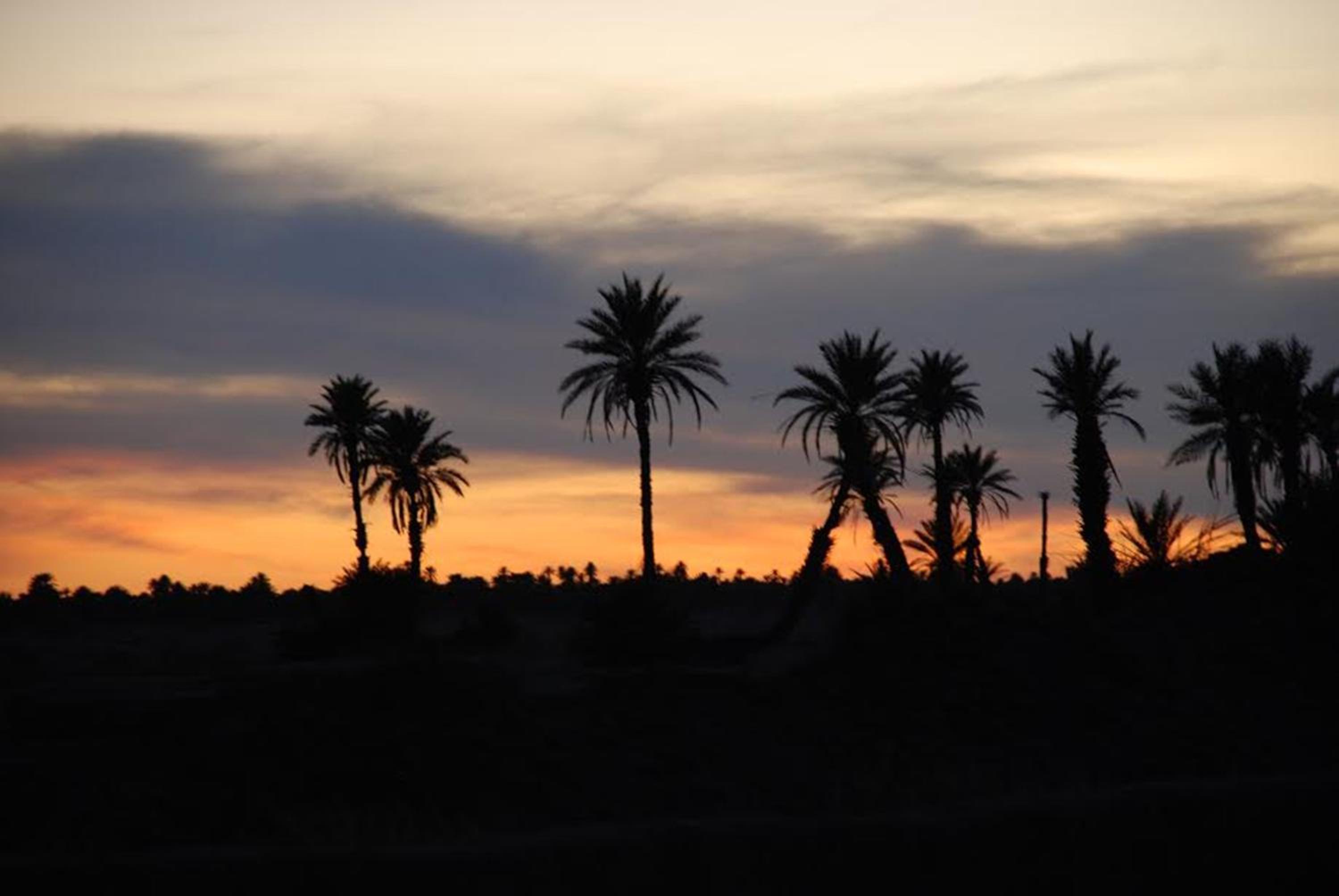 Kasbah Les Alizes Du Desert