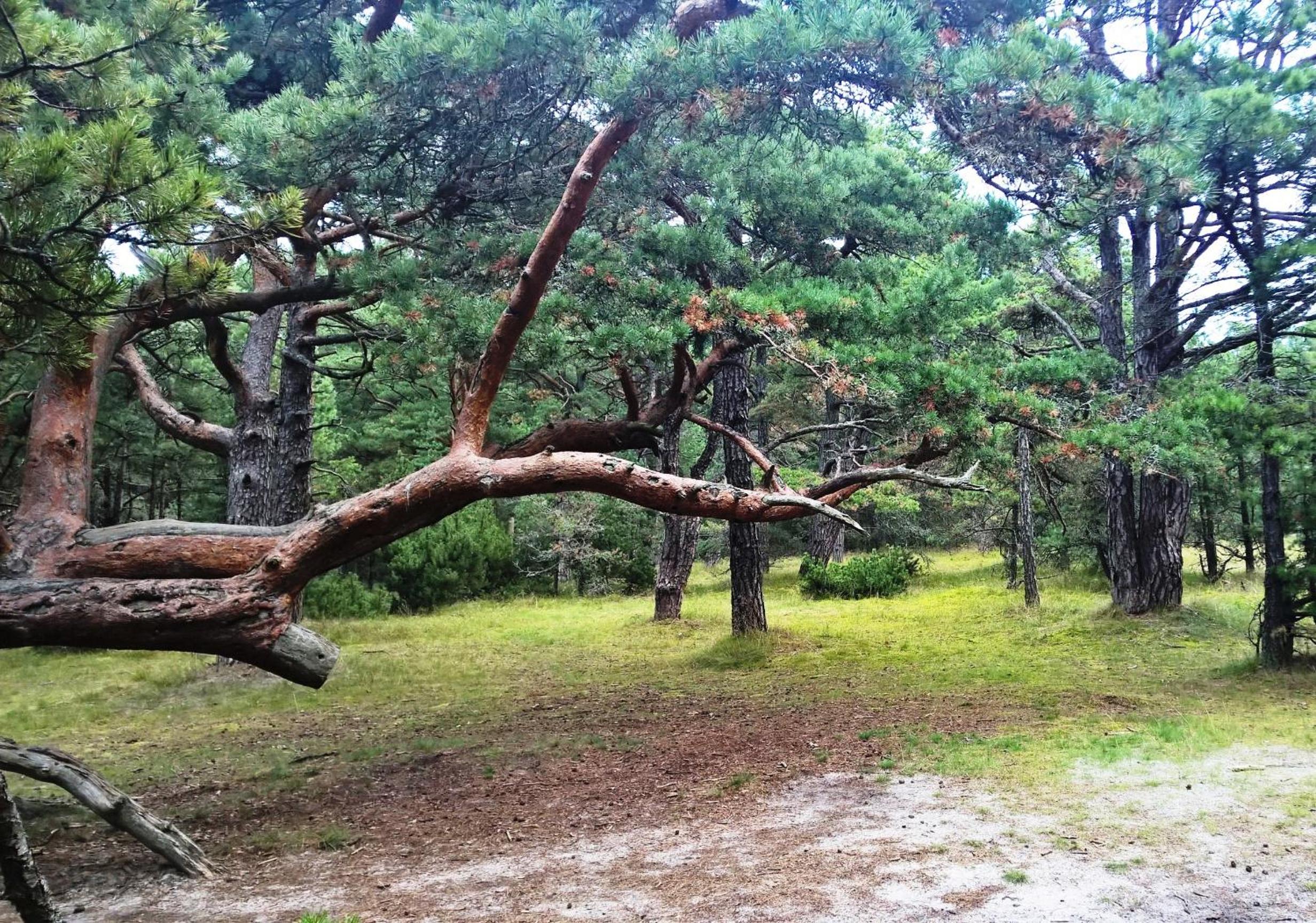 Photo 44