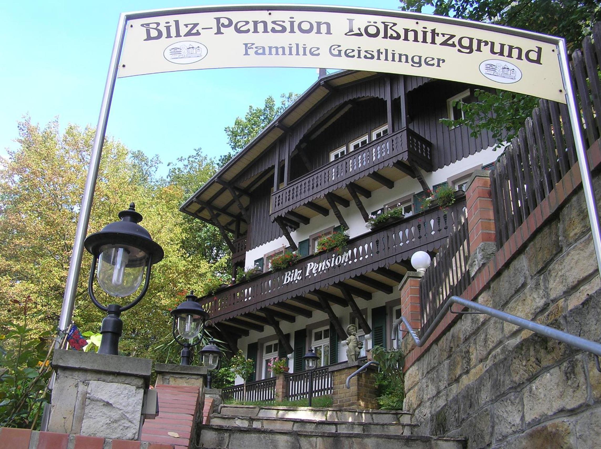 Hotel Bilz-Pension - Image 1