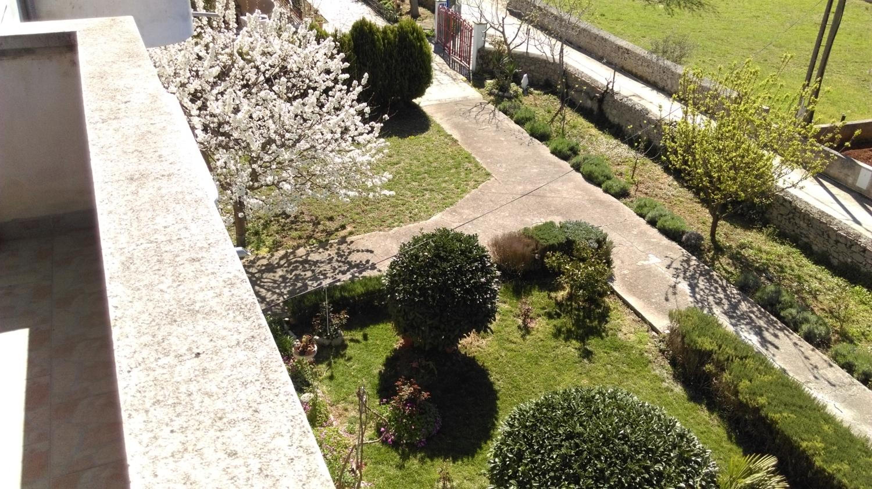 Photo 28