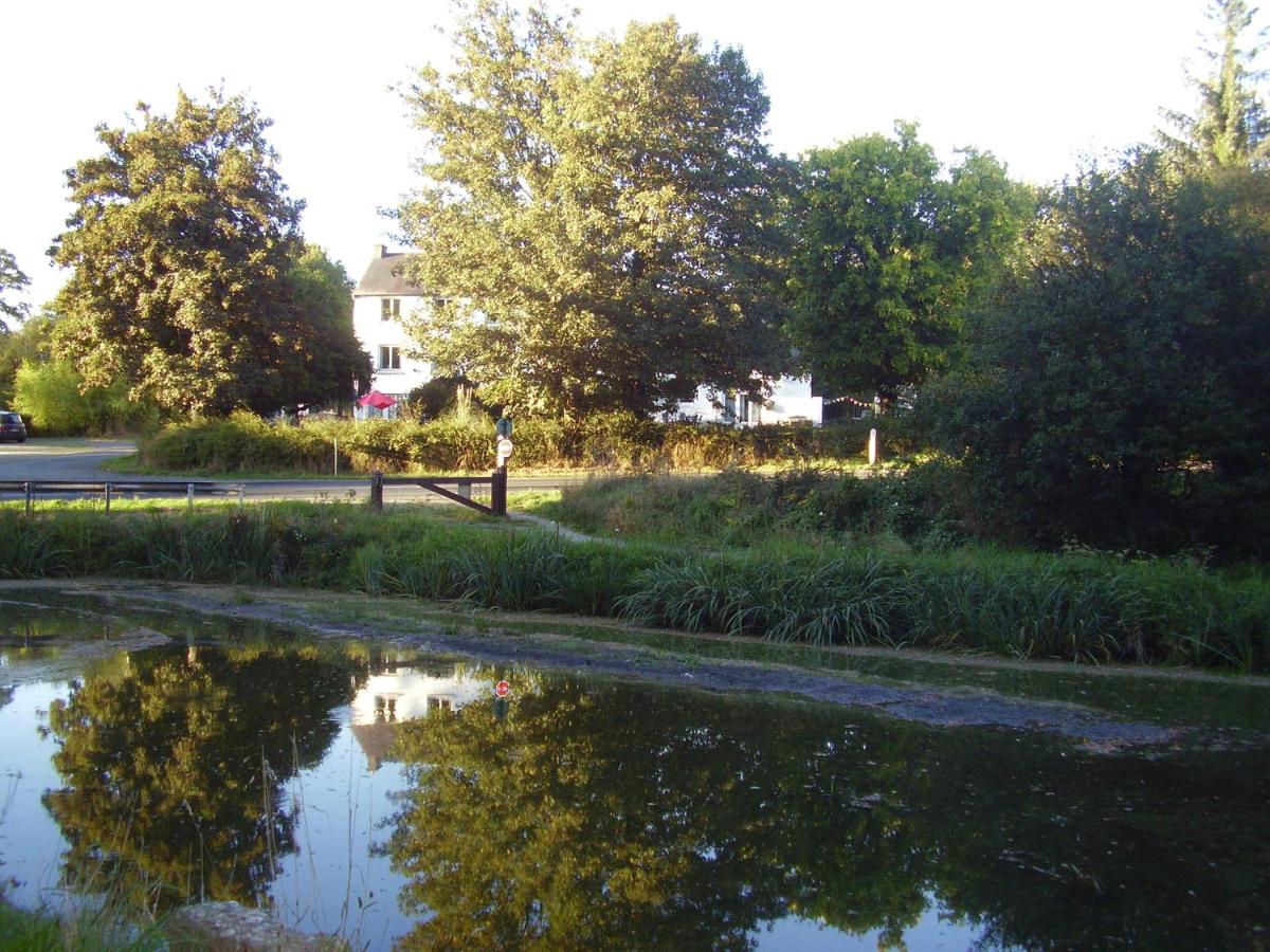 Photo 24