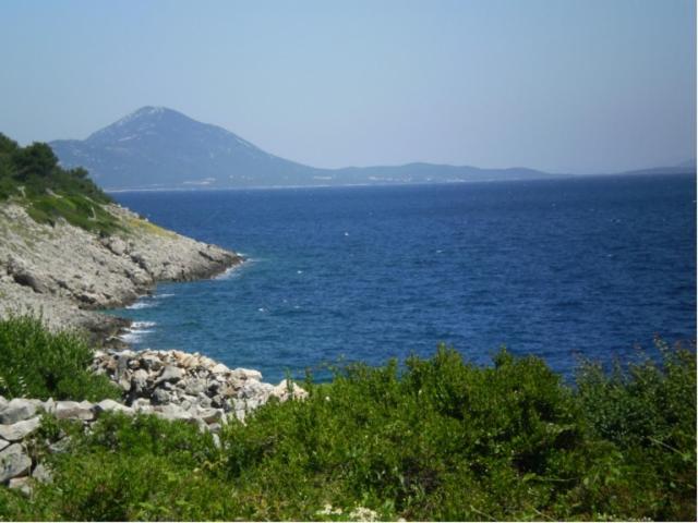 Photo 51